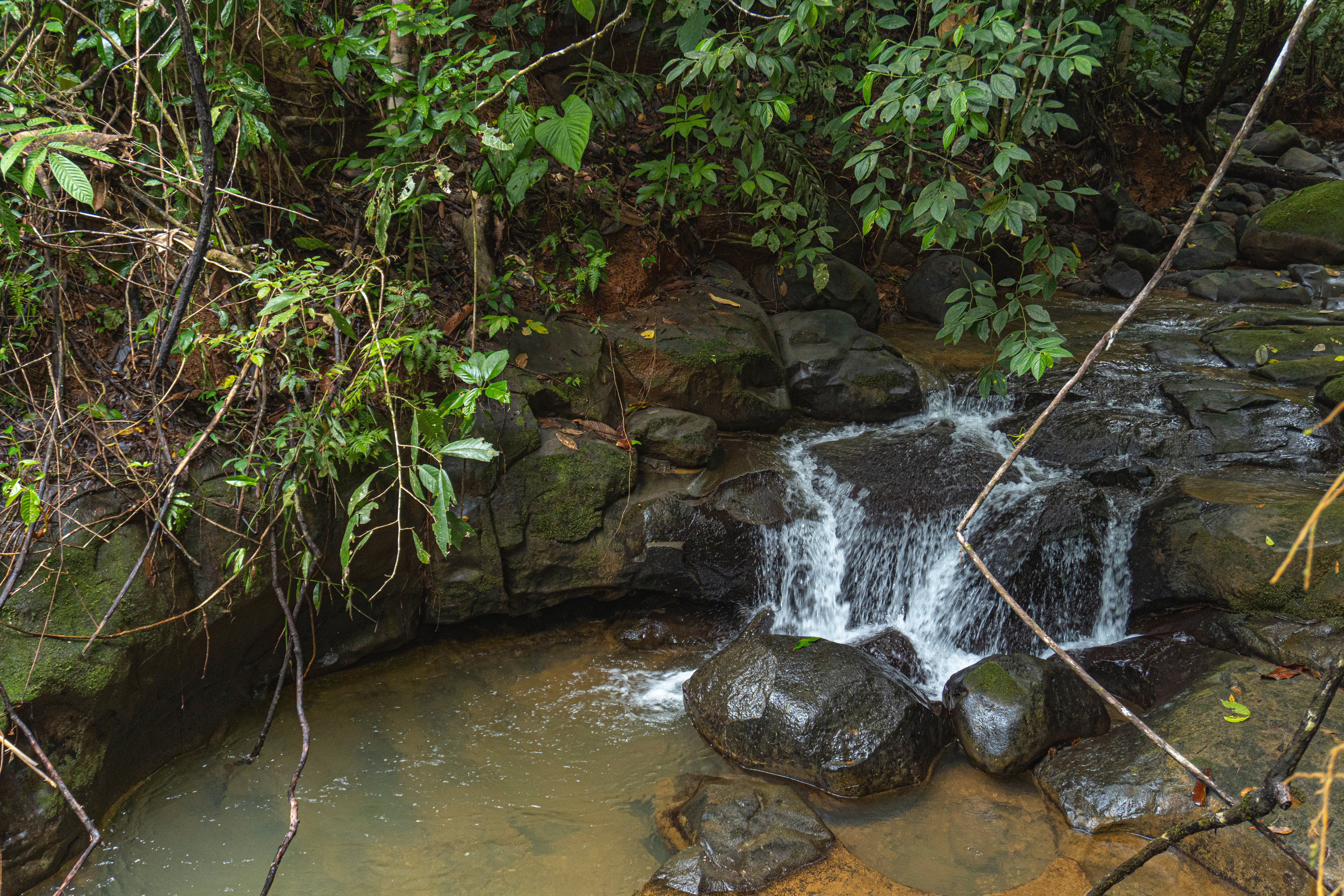 Jungle Retreat Near Platanillo property photo 4