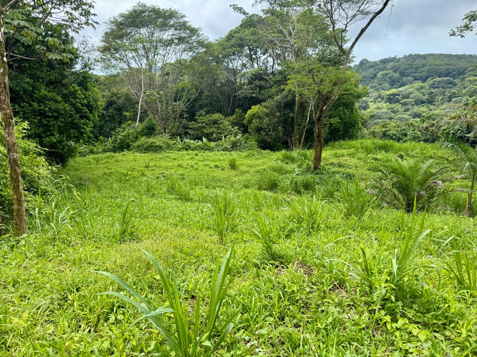 3-Acre Mountain View Land in Lagunas, Near Dominical property photo 3