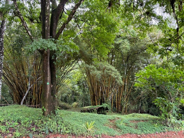 17.85-Acre Land with Two Waterfalls Near Dominical property photo 2