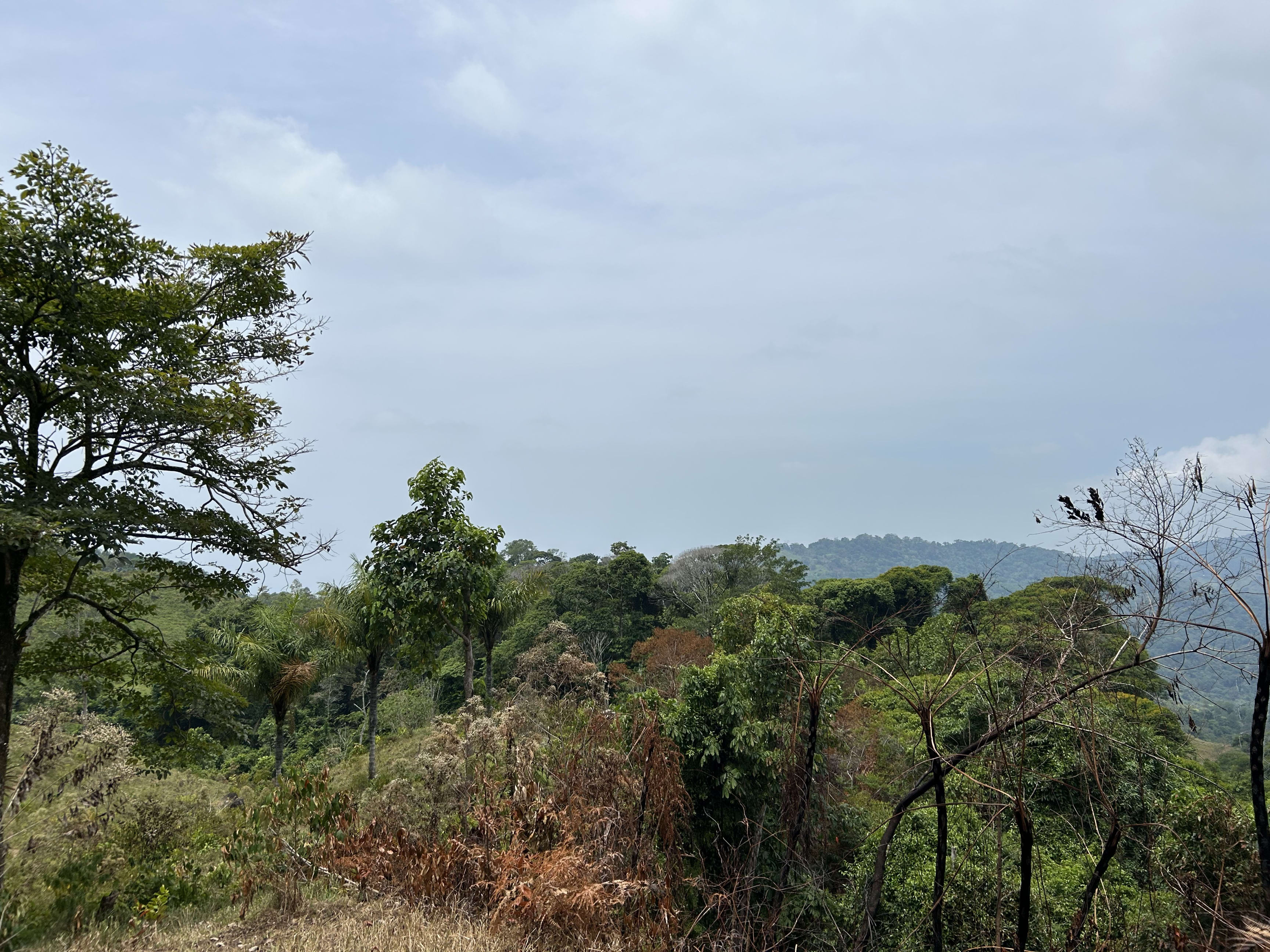 76-Acre Development Land in the Hatillo Highlands property photo 3