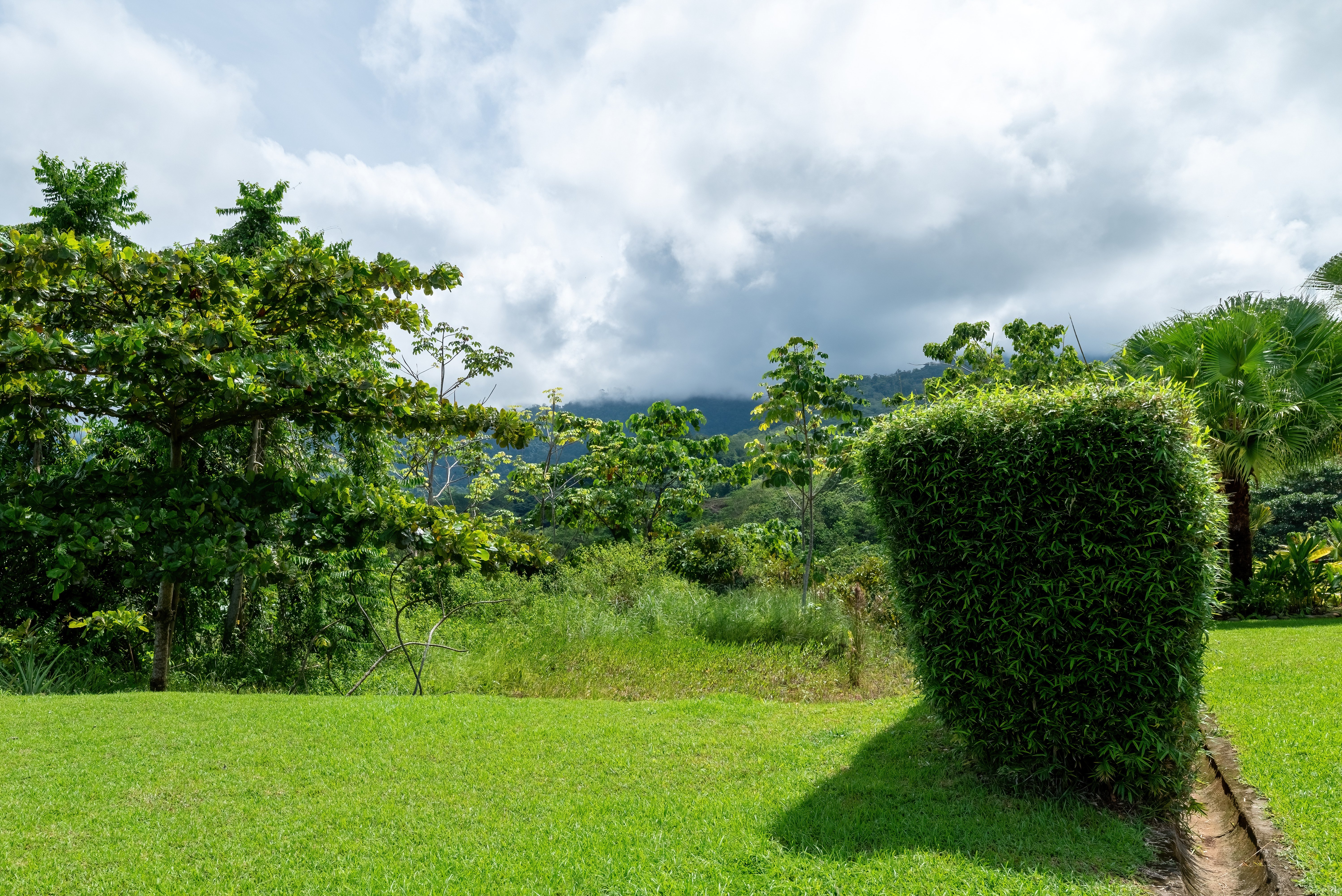 Ocean and Mountain View Lot in Ojochal Phase 11 property photo 3