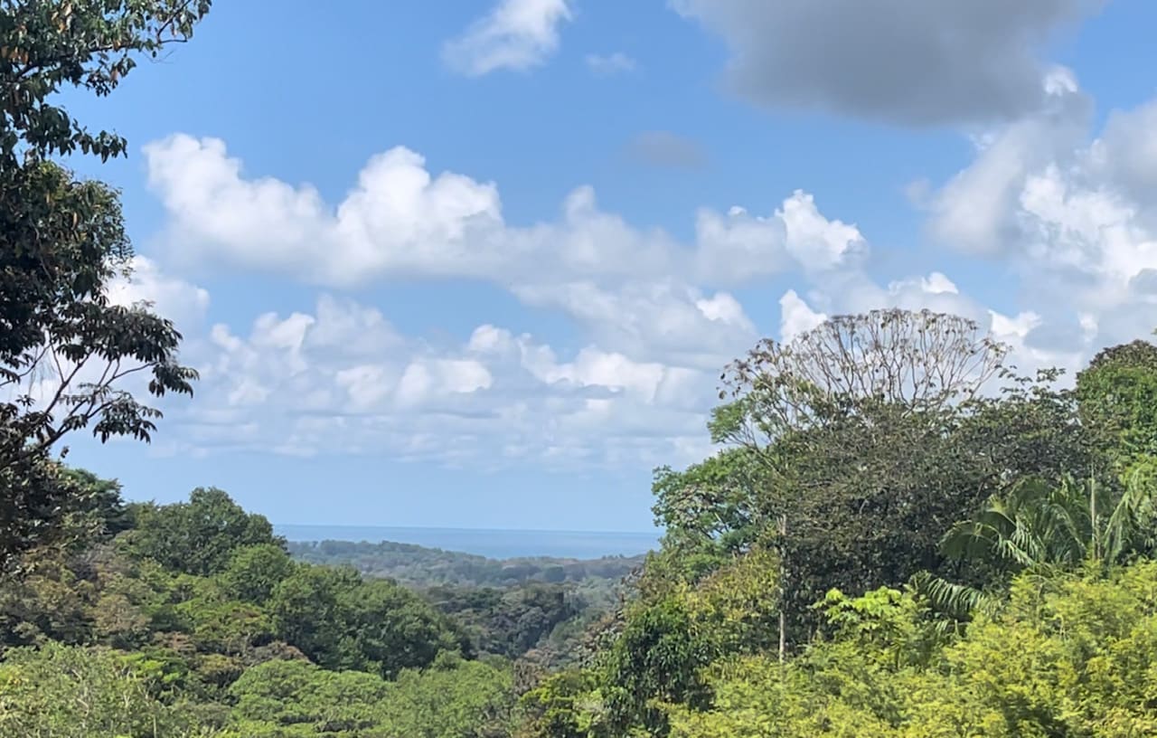 1.5-Acre Ocean View Lot (Lot 34) in Dulce Gated Community, Uvita property photo 3