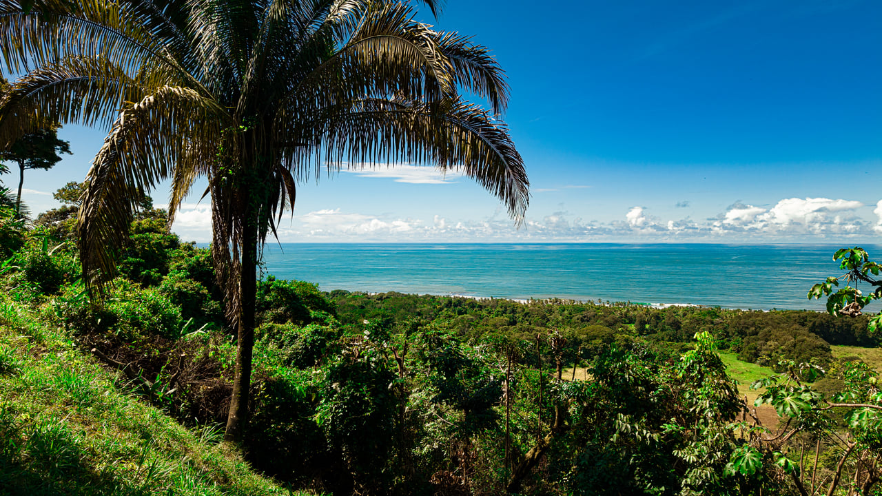 12.7-Acre Ocean View Land in Playa Guapil, Dominical property photo 5