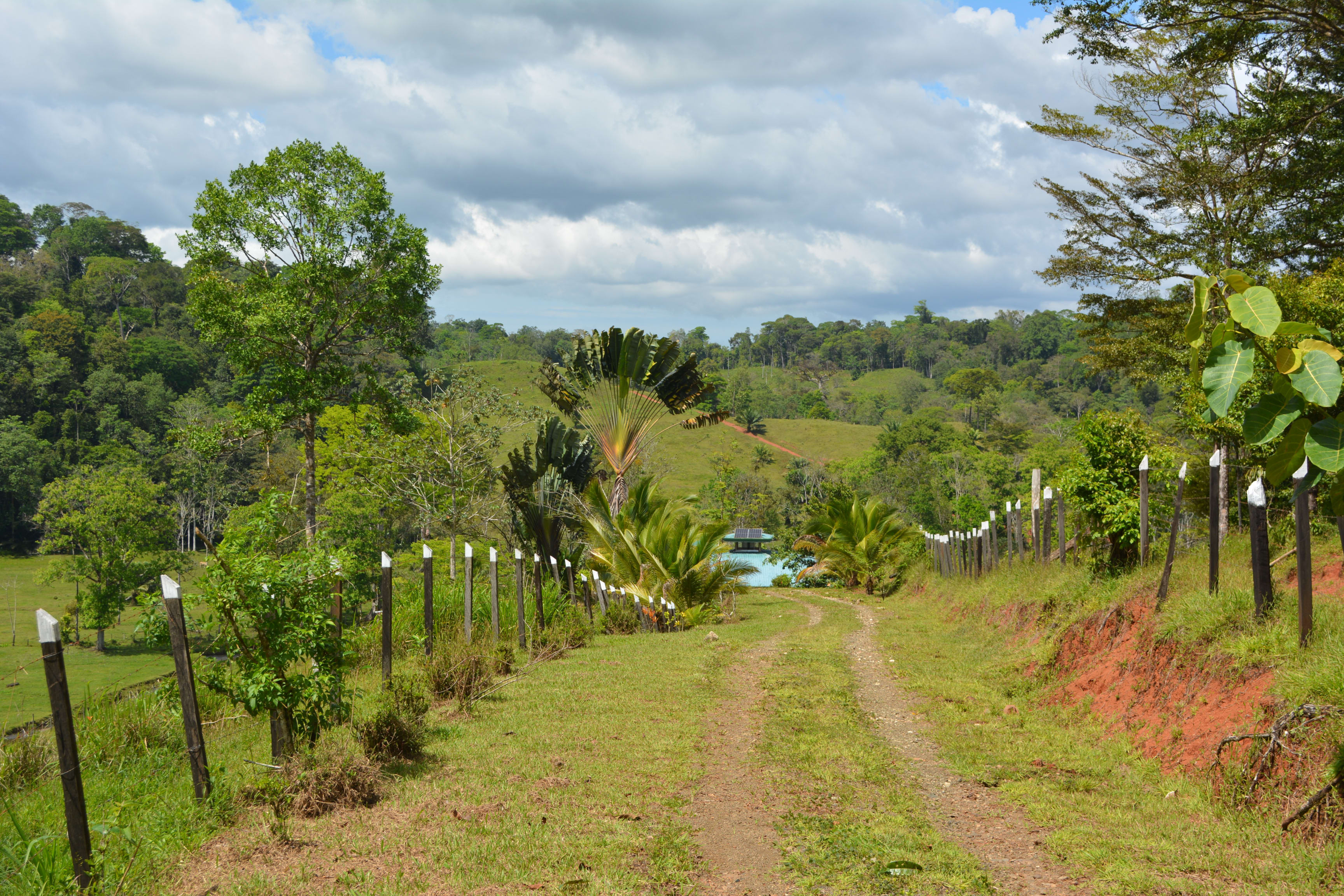 3-Bedroom Home on 96 Acres in Los Mogos, Osa Peninsula property photo 4