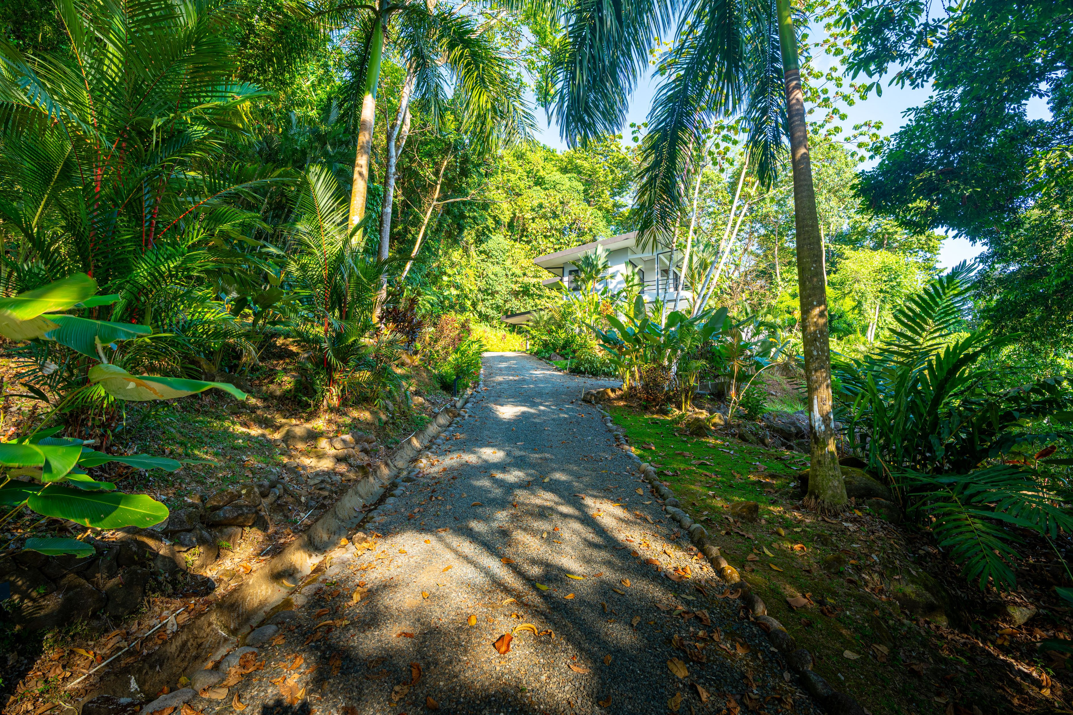 Ocean View Villa Above the Whale’s Tail, Uvita property photo 2