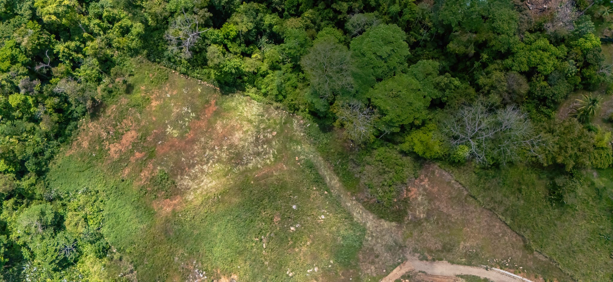 4-Acre Usable Land in Cinco Ventanas, Ojochal property photo 3