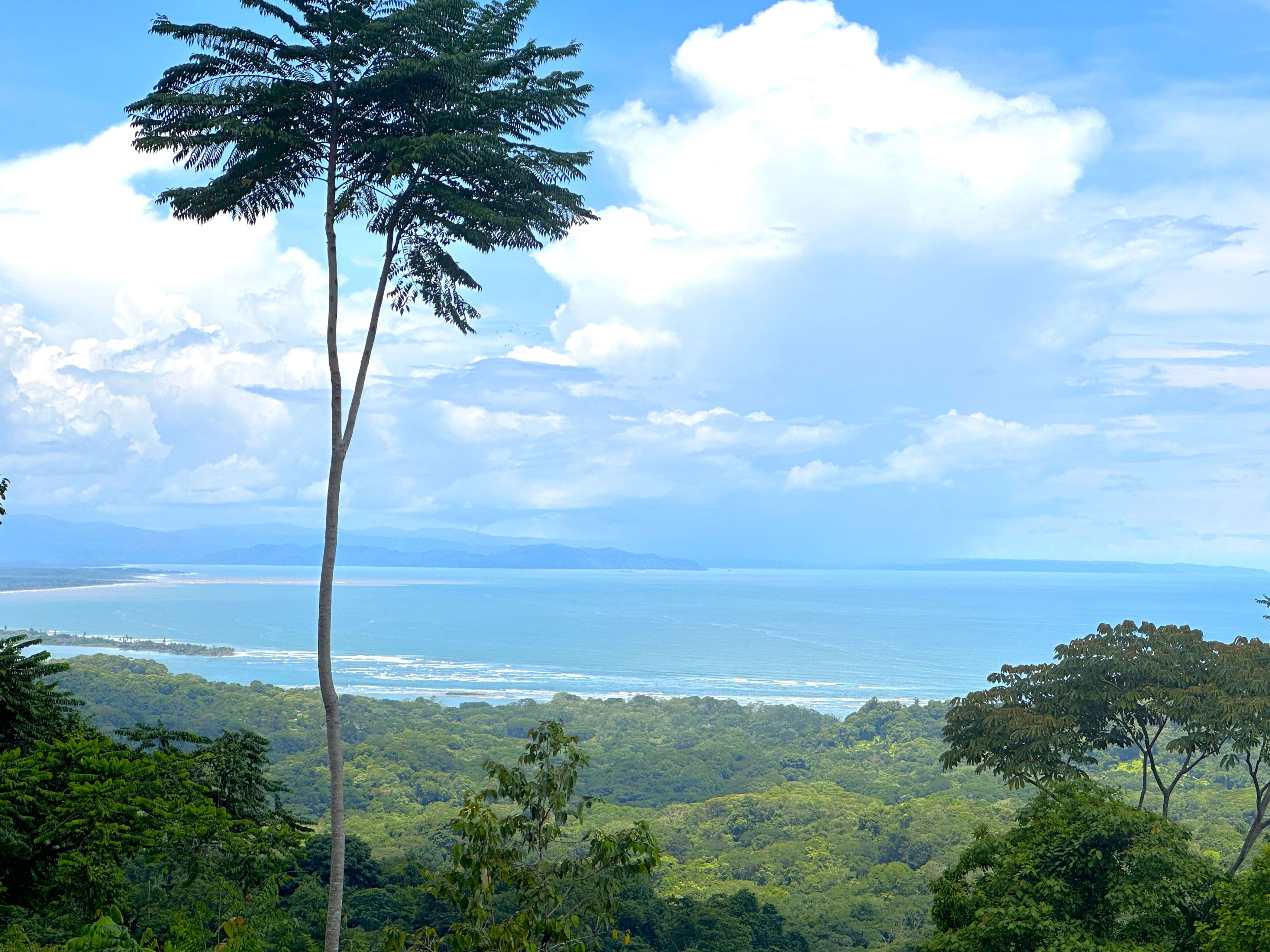 11.24-Acre Development Land in Cinco Ventanas, Ojochal in Ojochal, Costa Rica
