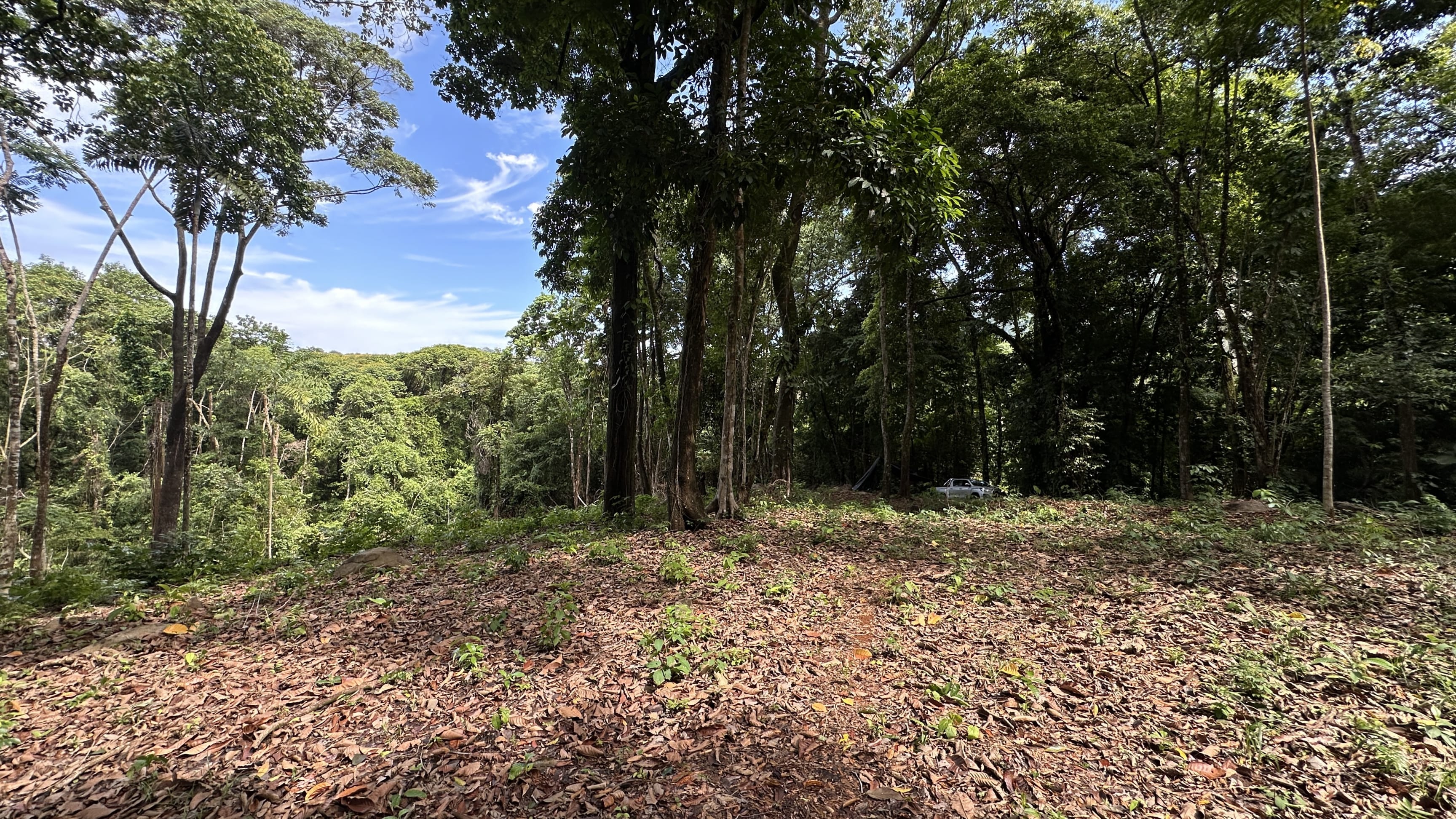 8.8-Acre Development Land Near Dominicalito Bay property photo 4