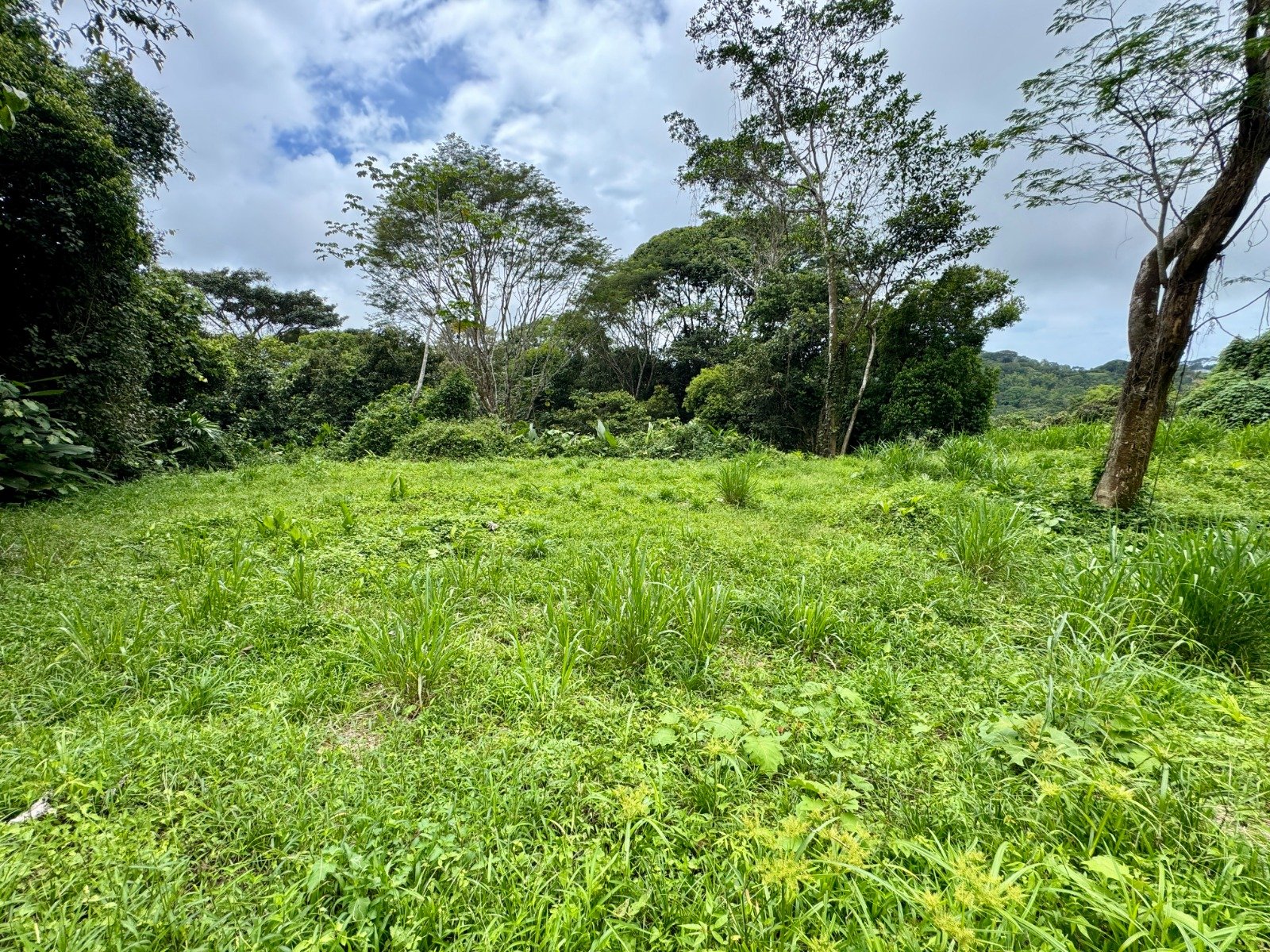 3-Acre Mountain View Land in Lagunas, Near Dominical in Dominical, Costa Rica