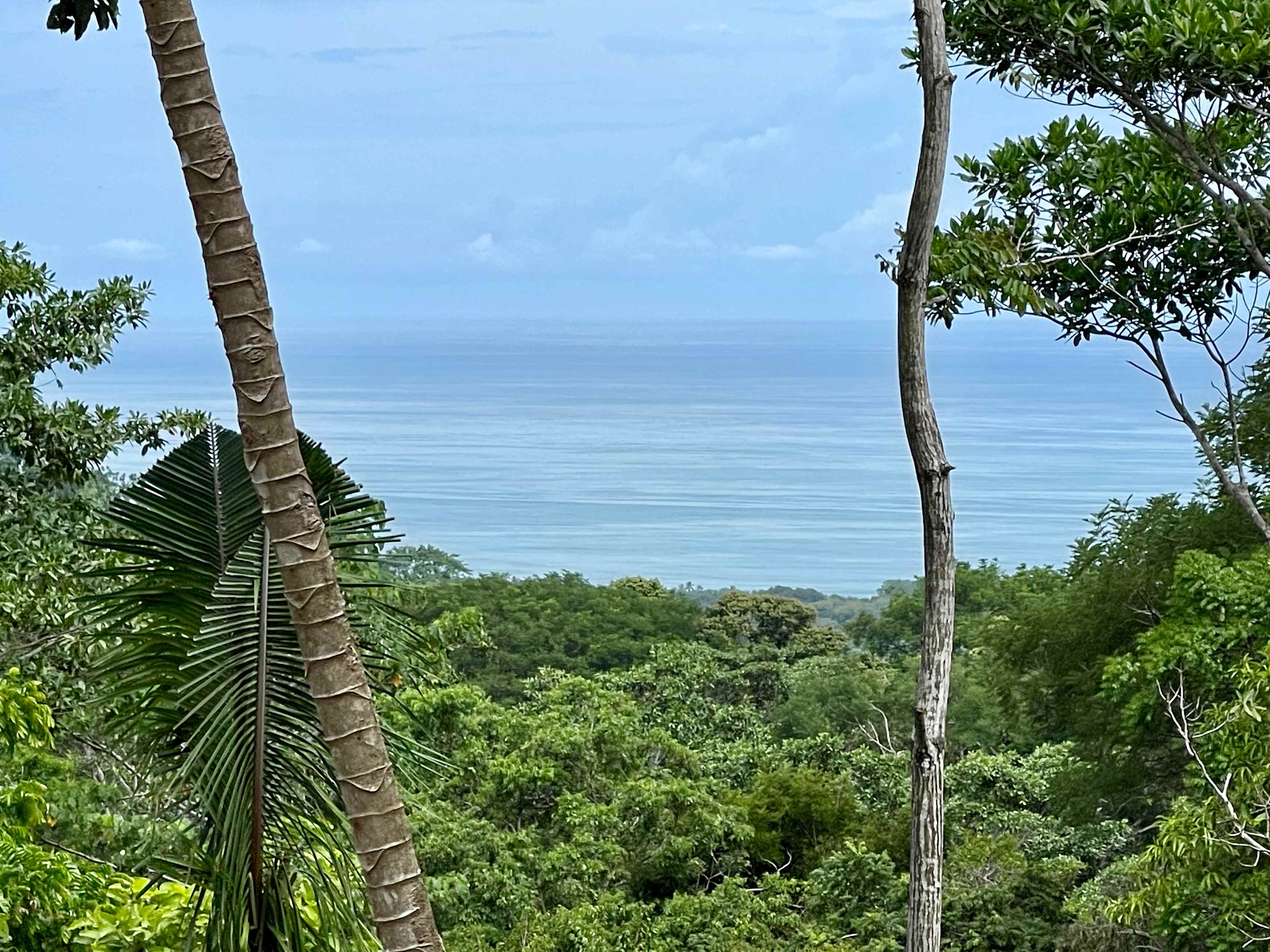 Ocean View Land in a Gated Community, Hatillo in Dominical, Costa Rica