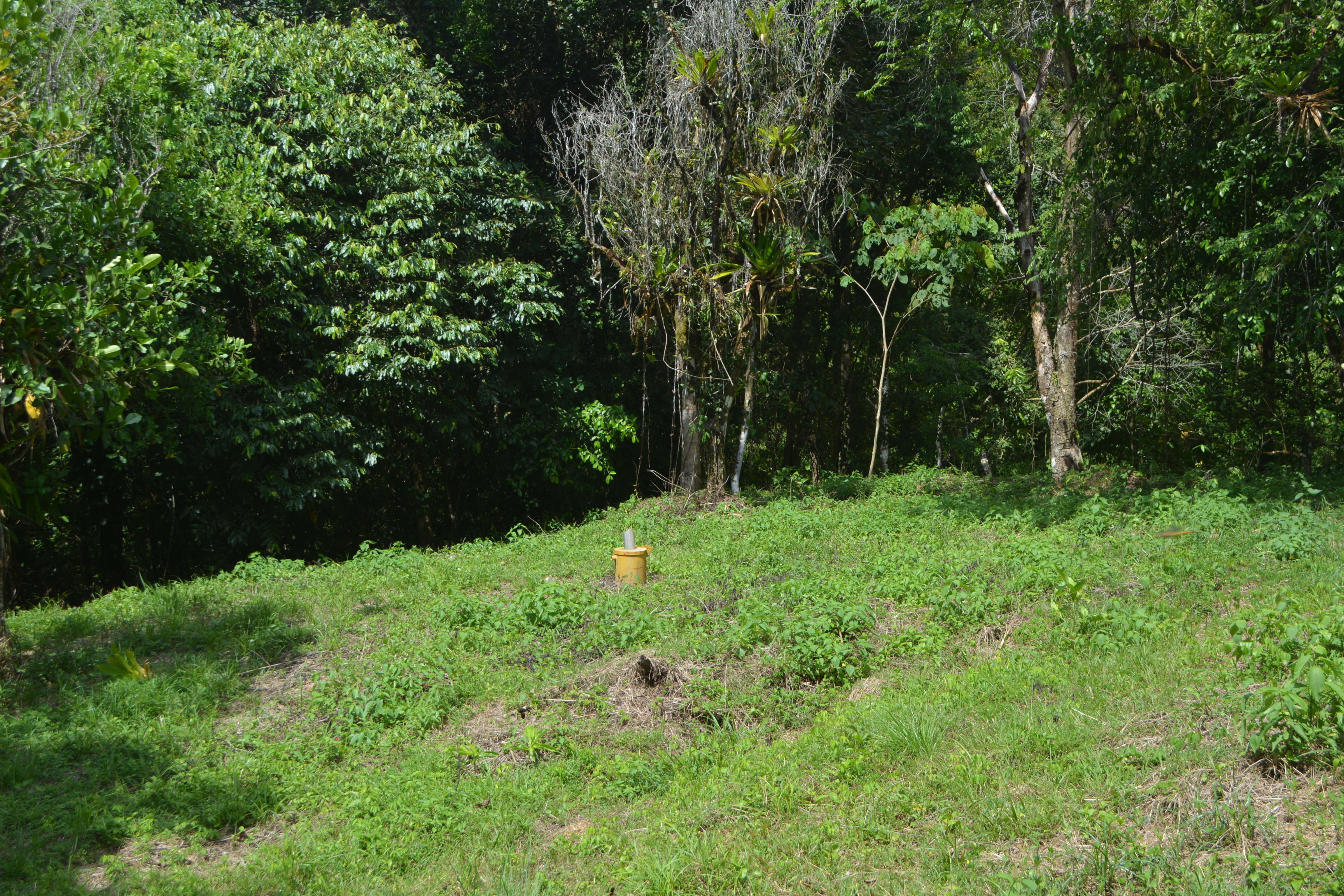 42-Acre Jungle Estate in Silencio in San Isidro, Costa Rica
