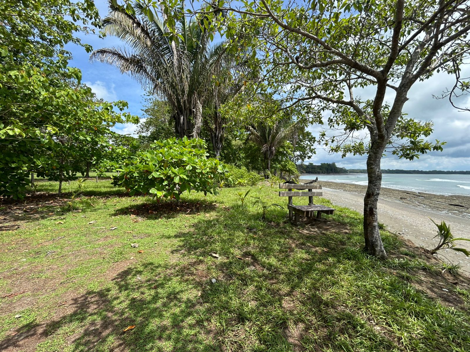Beachfront Land on Playa Sombrero, Matapalo, Osa in Uvita, Costa Rica