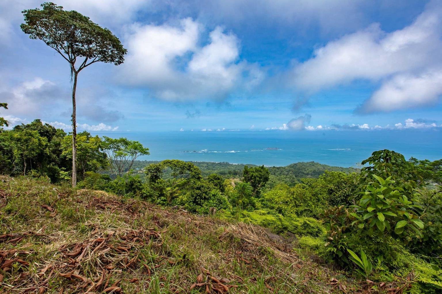 16-Acre Ocean View Land Above Uvita property photo 3