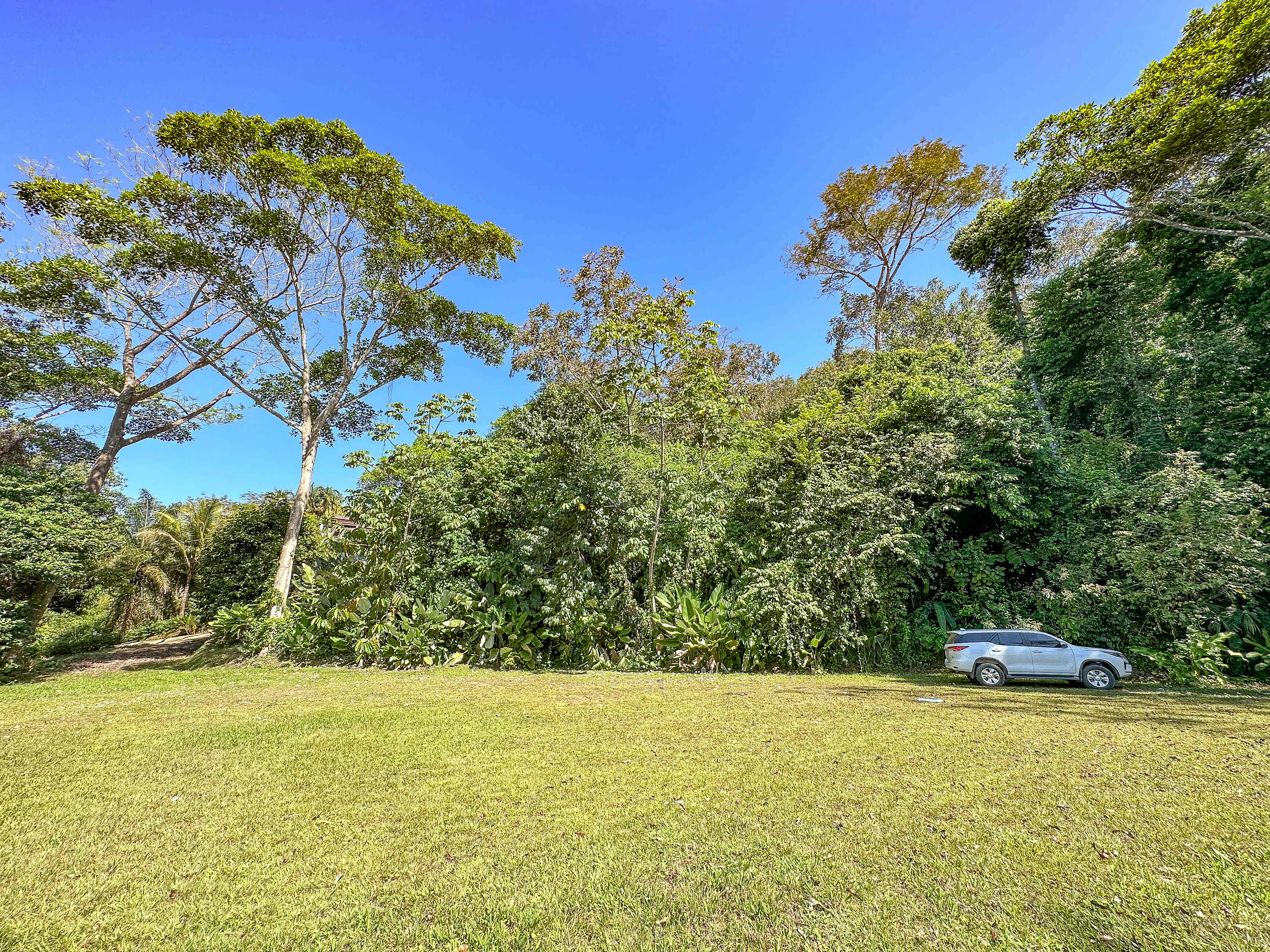 1.5-Acre Jungle Lot in Uvita property photo 4