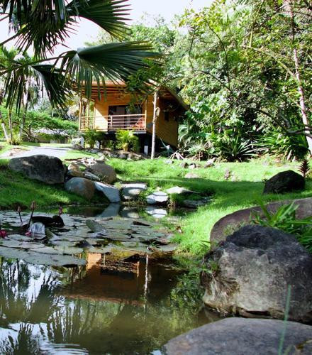 Income-Producing Lodge (Buena Onda Lodge) in Ojochal in Ojochal, Costa Rica