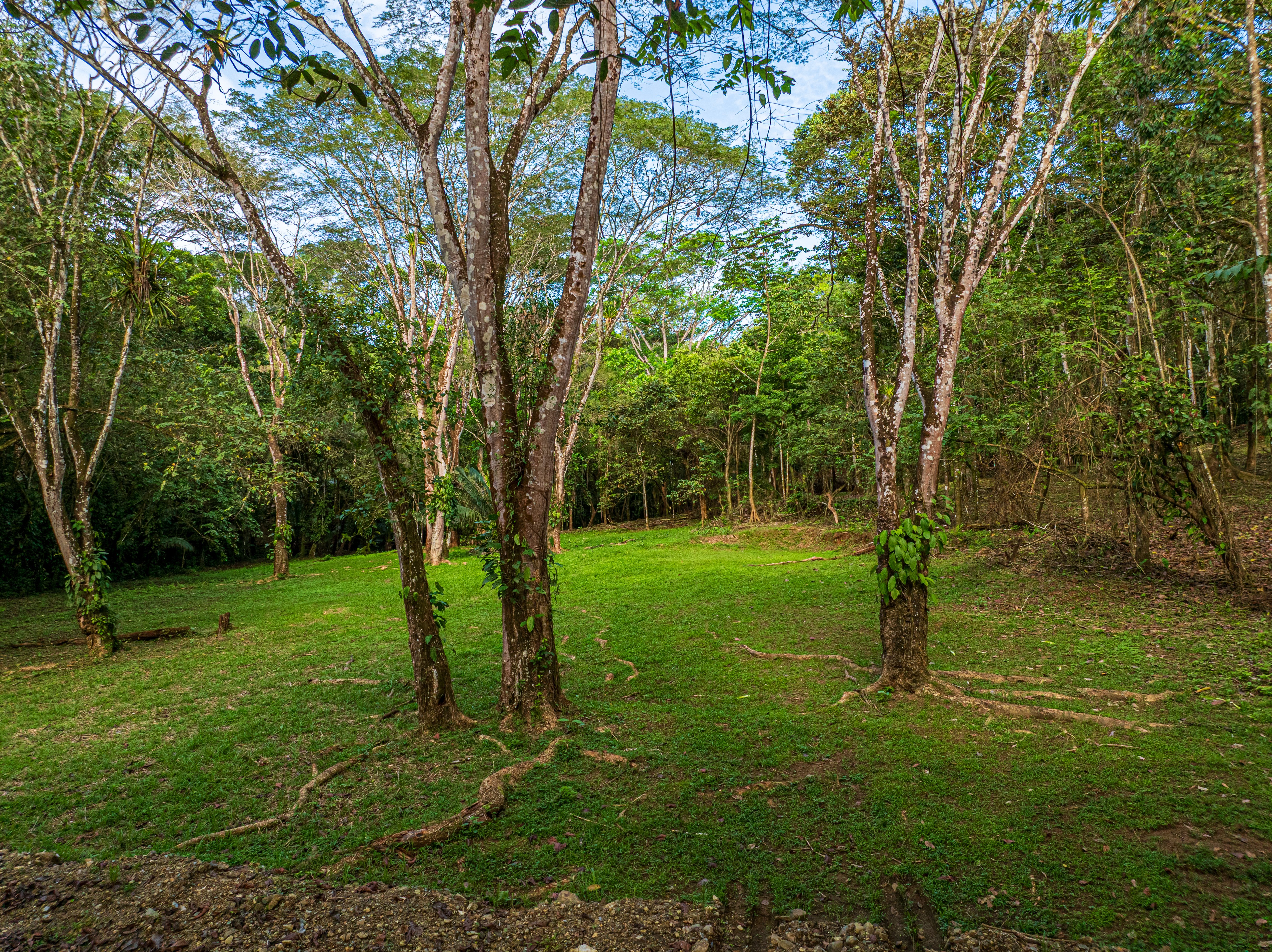 86-Acre Ocean View Estate Bordering Hacienda Baru, Dominical property photo 2