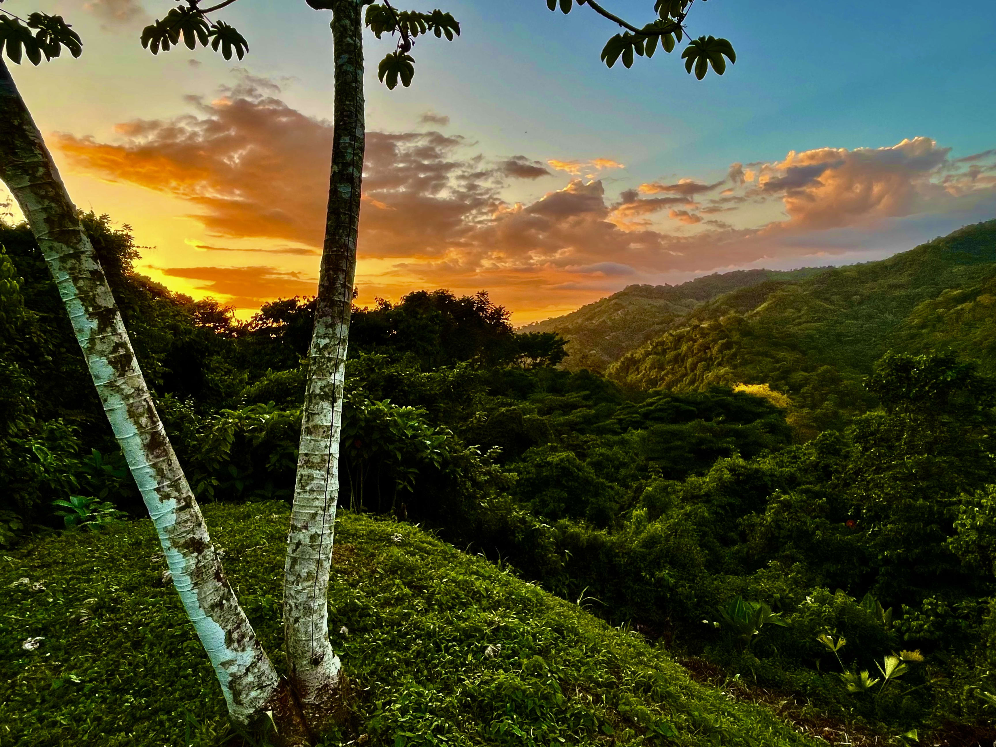 Wildlife Reserve Land in Cascada Sandalo, Tres Rios property photo 2