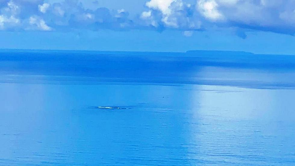 Ocean View Land in Escaleras, Dominical property photo 4
