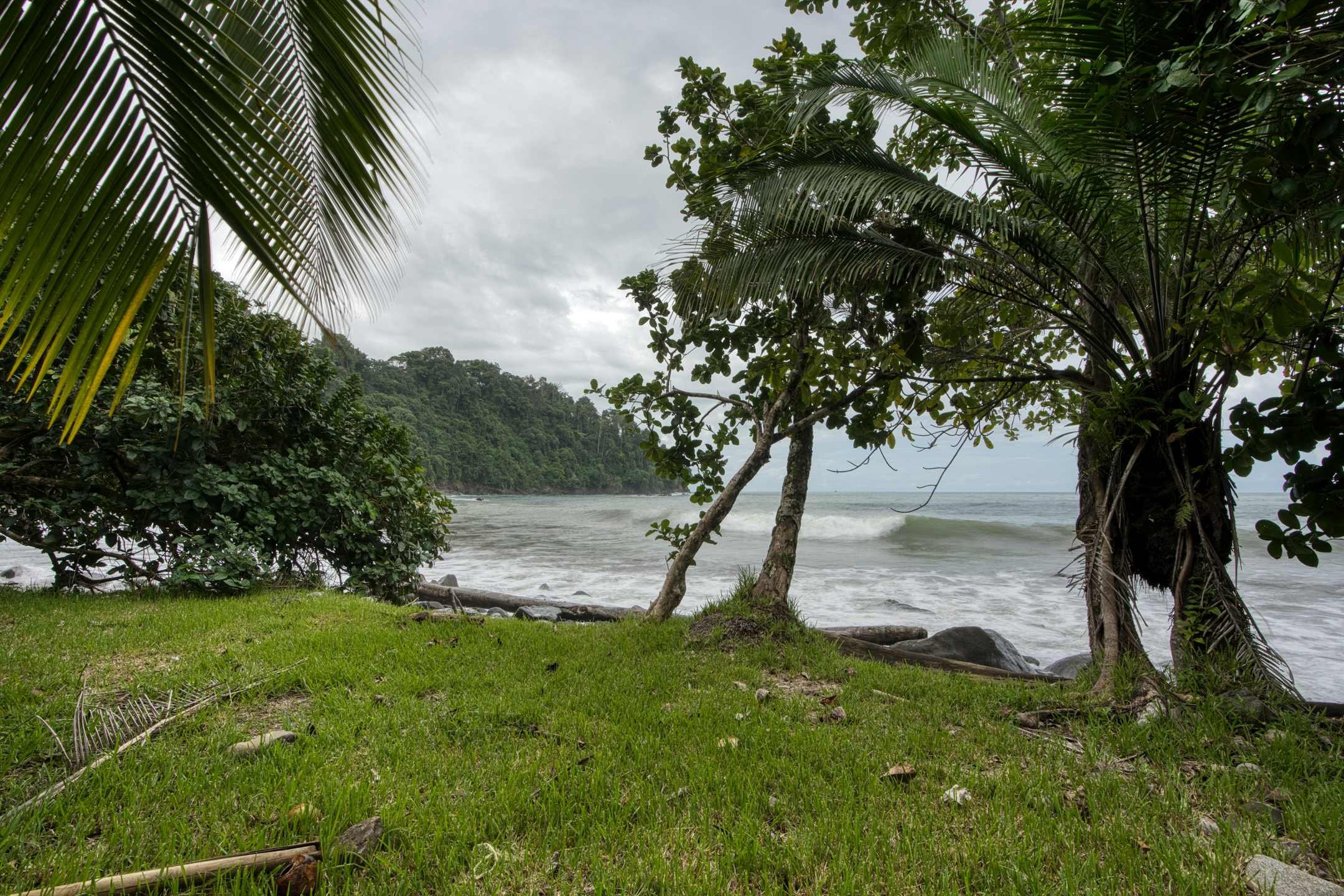 Luxury Beachfront Estate (The Residence in San Martin) in Dominical property photo 5