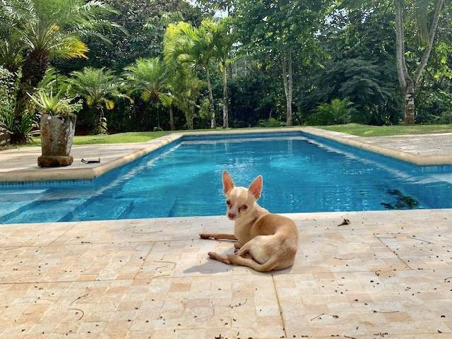 6-Hectare Estate in Platanillo with Waterfall property photo 5