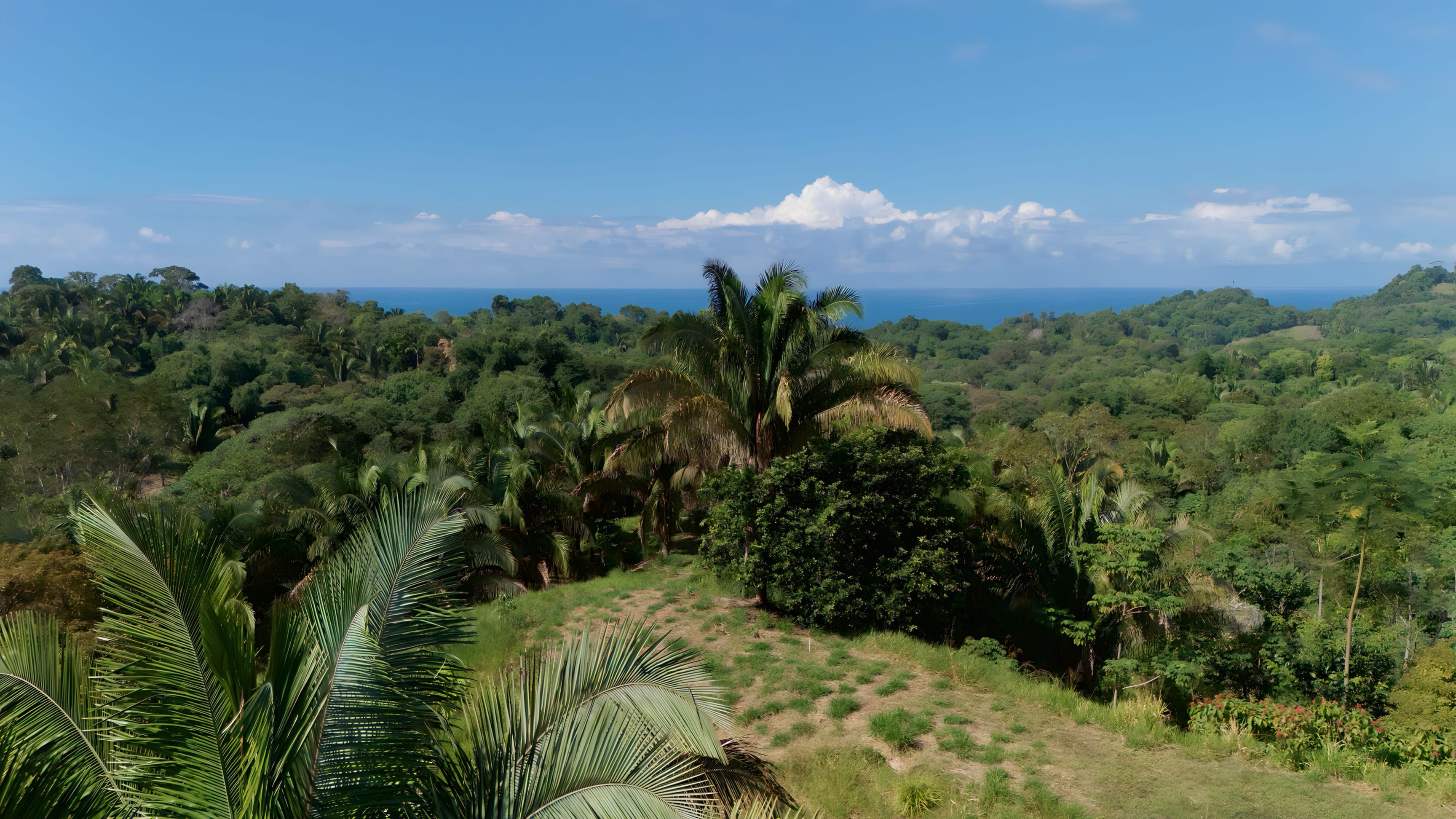 1.2-Acre Ocean and Mountain View Lot in Playa Hermosa, Near Uvita property photo 2