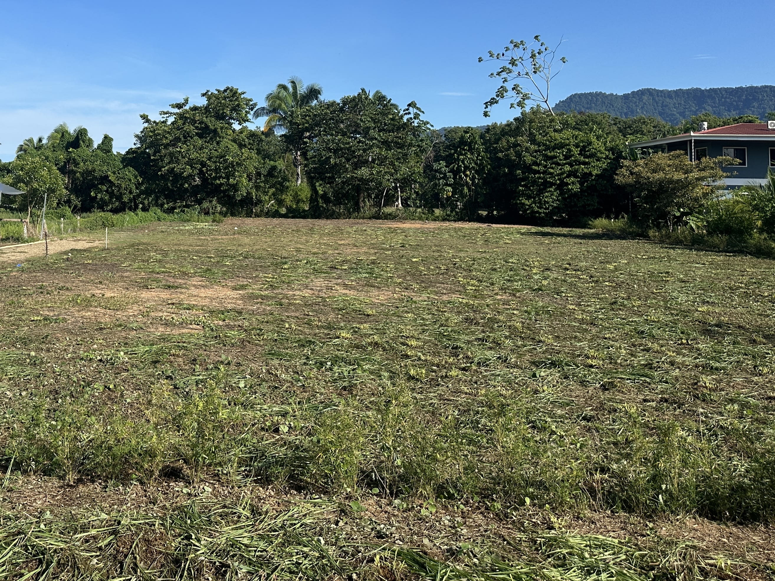 Half-Acre Development Land in Bahia, Uvita property photo 4