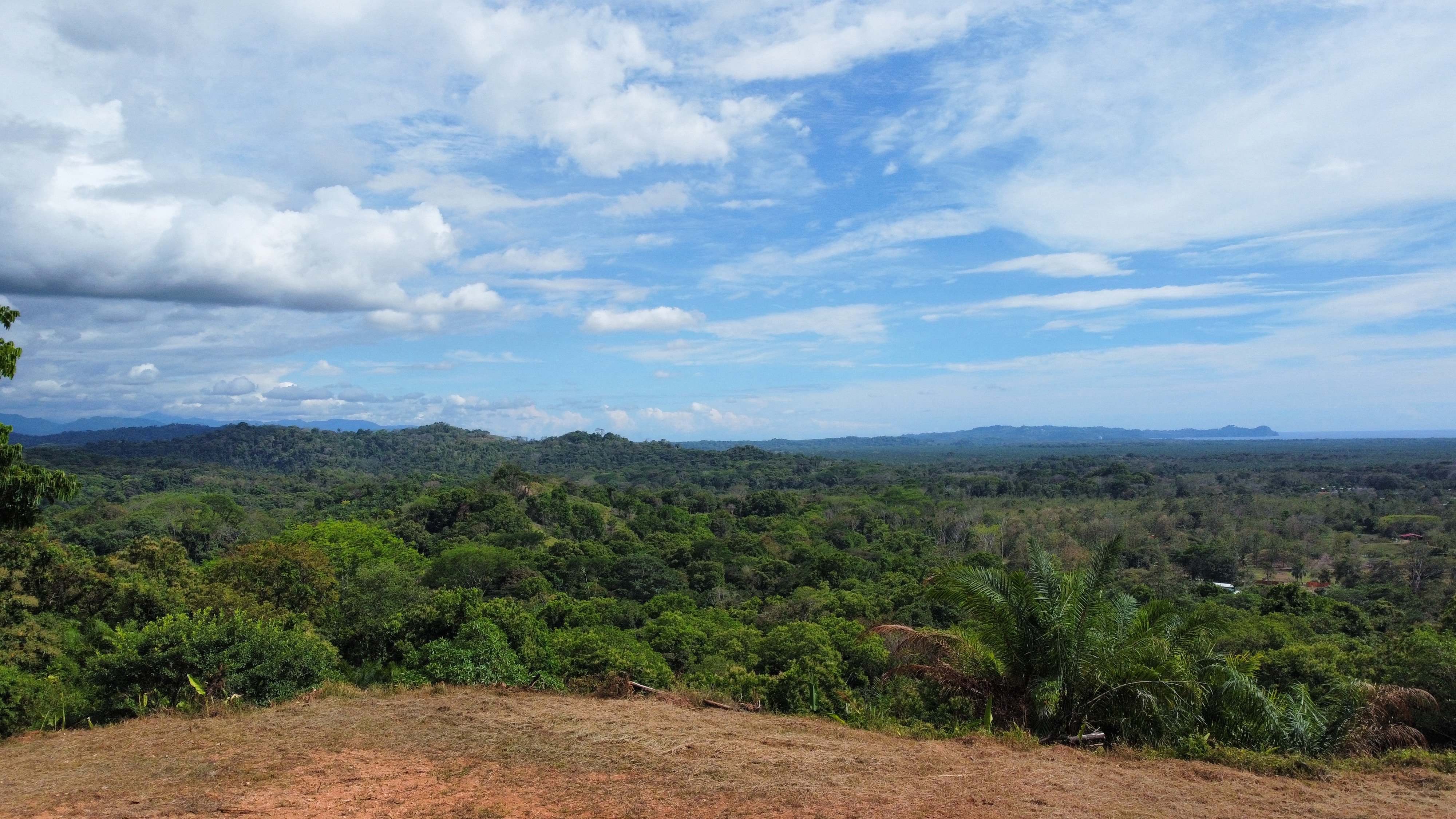 Ocean View Land in Quepos, Over 1 Hectare with Dual Building Sites property photo 4