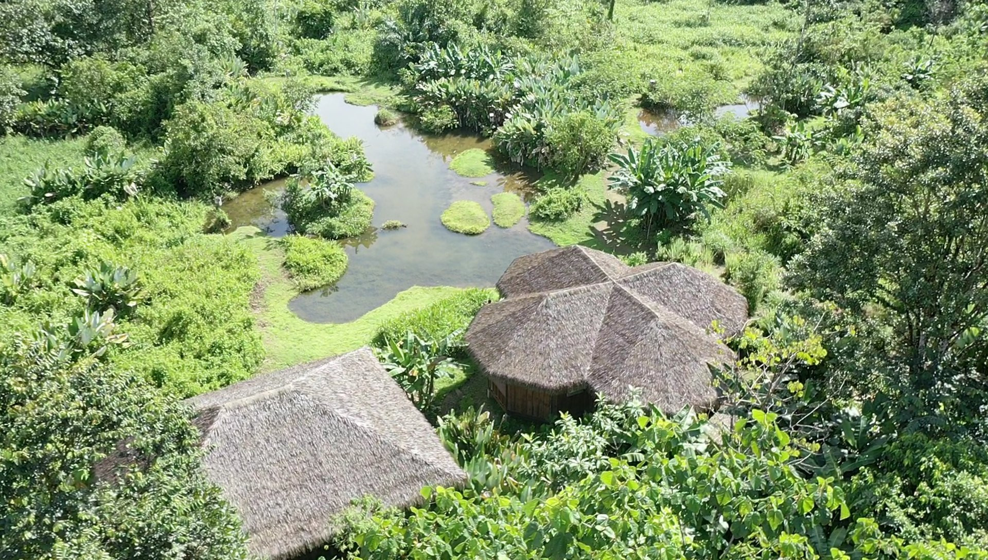 60-Acre Eco Estate (The Refugio) in La Gamba in Uvita, Costa Rica