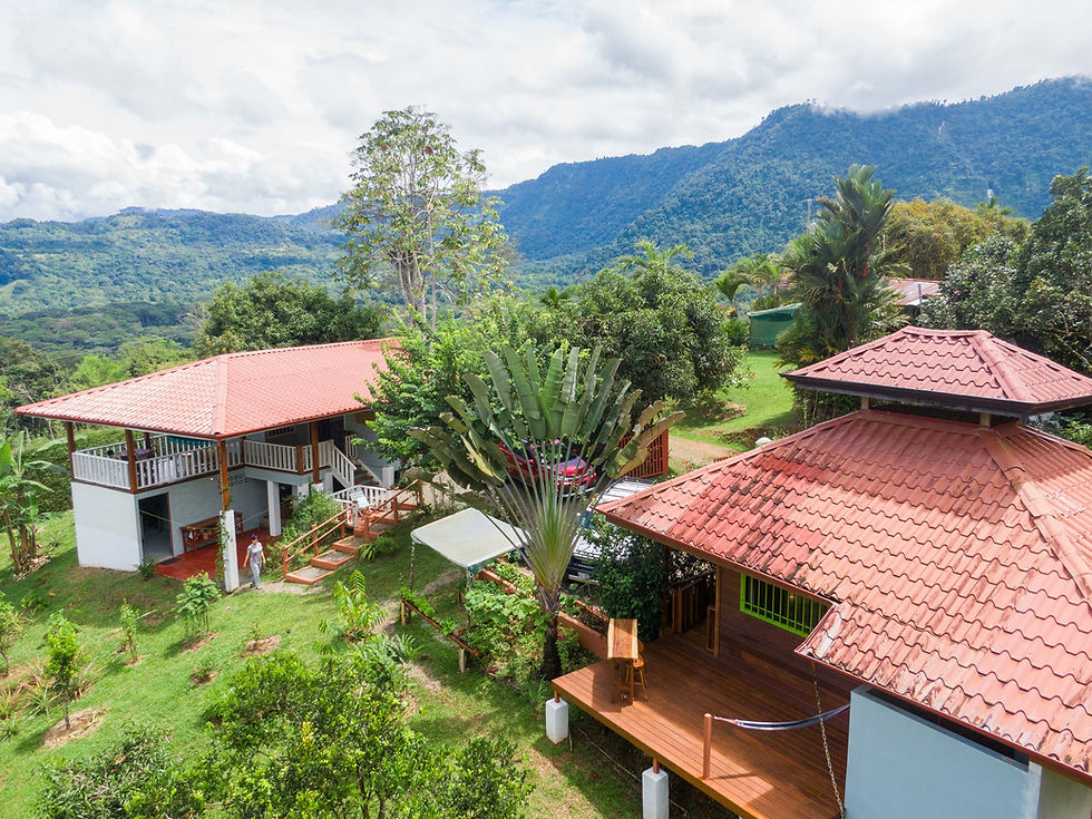 Thumbnail: Eco Home with Studio Casita in Barú | 3 Bed / 2 Bath