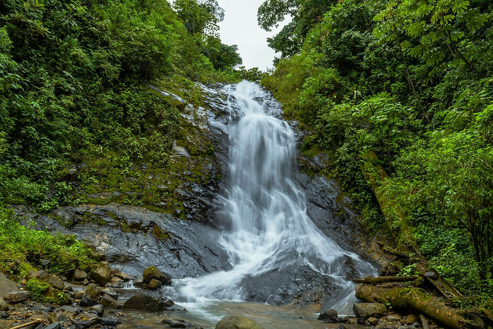 What Are Costa Rica's Main Climate Zones and How Do They Differ Day-to-Day?