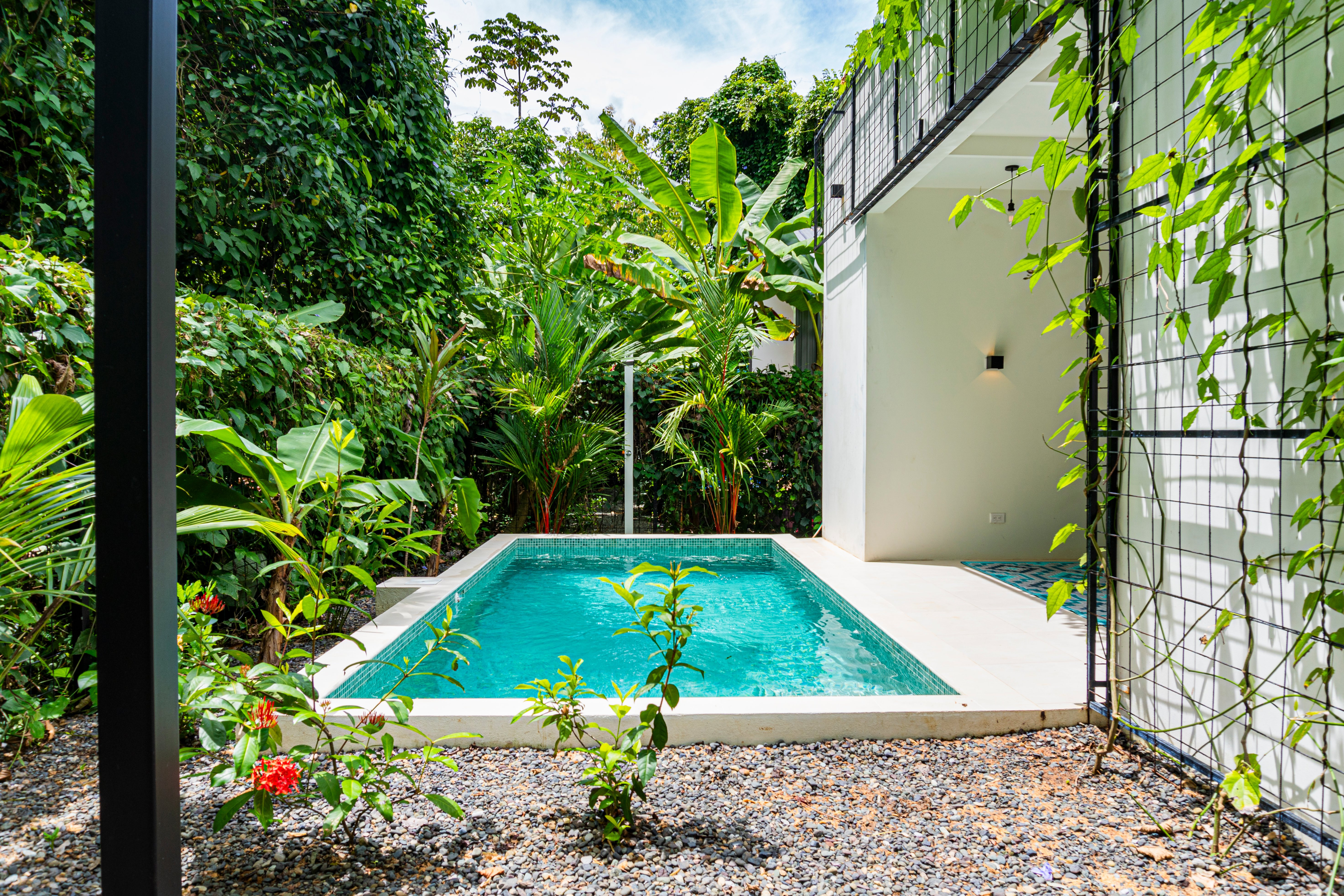 Modern 2-Bedroom Home Near Whale’s Tail, Uvita property photo 3