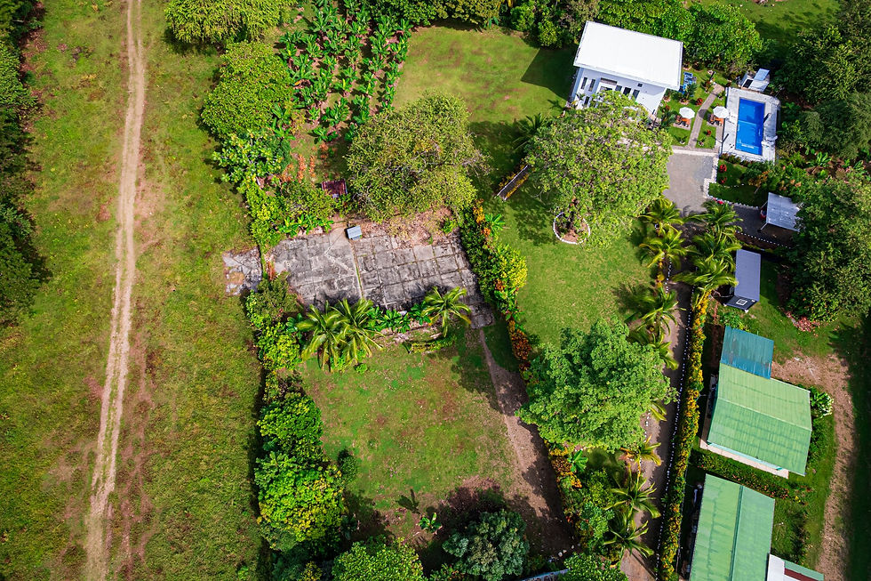 Thumbnail: Flat Build-Ready Lot in Ballena | Mature Fruit Trees