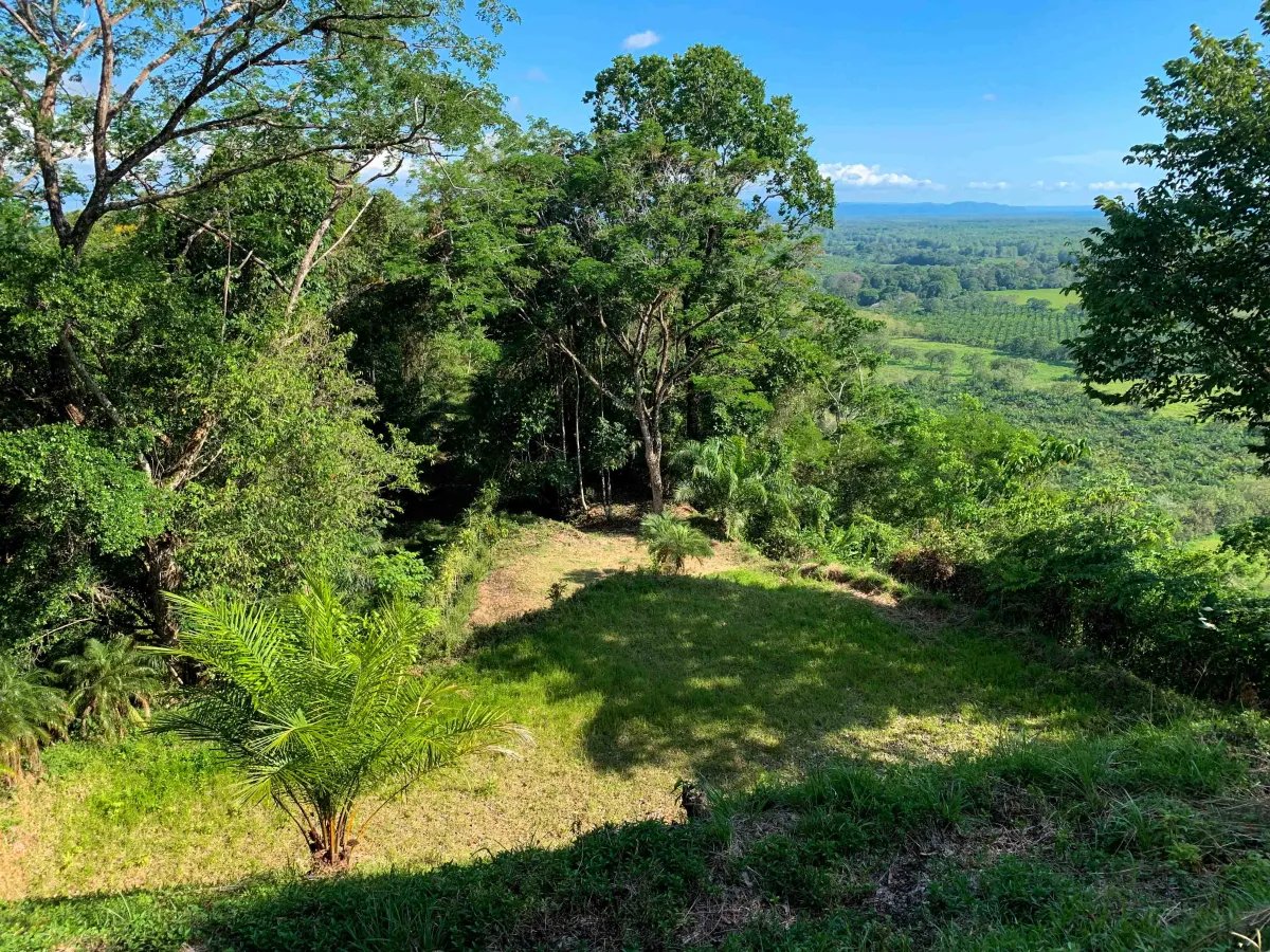 13-Acre Private Land in San Buenas de Osa property photo 5