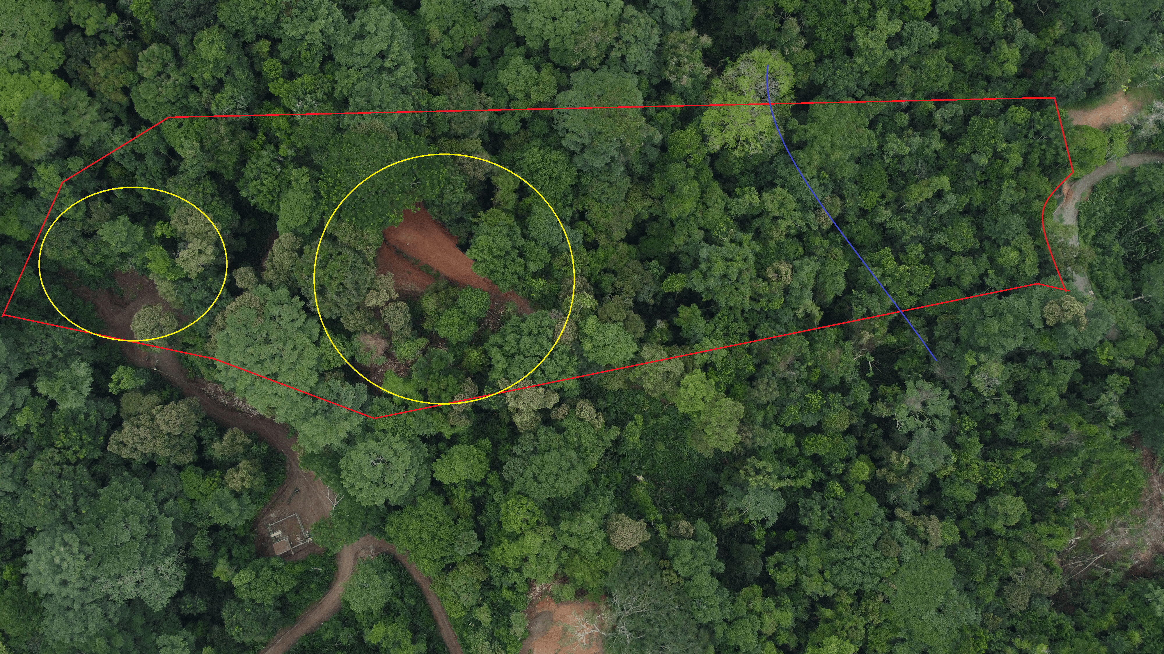 8.9-Acre Ocean View Lot in Paradise Breezes, Hatillo property photo 3