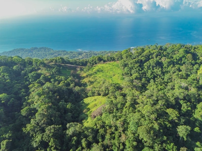 55-Acre Private Farm in Escaleras, Above Dominical in Dominical, Costa Rica