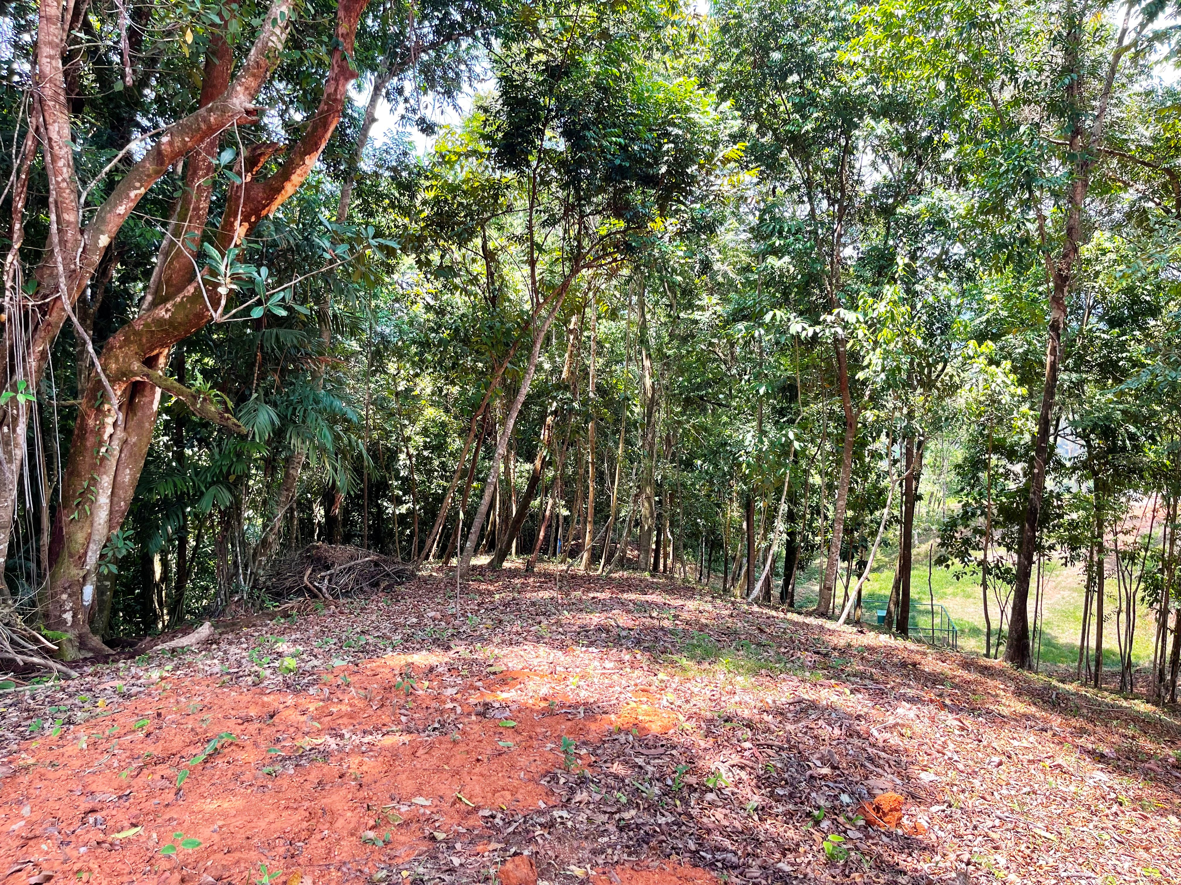 2.5-Acre Lot in a Gated Community, Dominical property photo 3