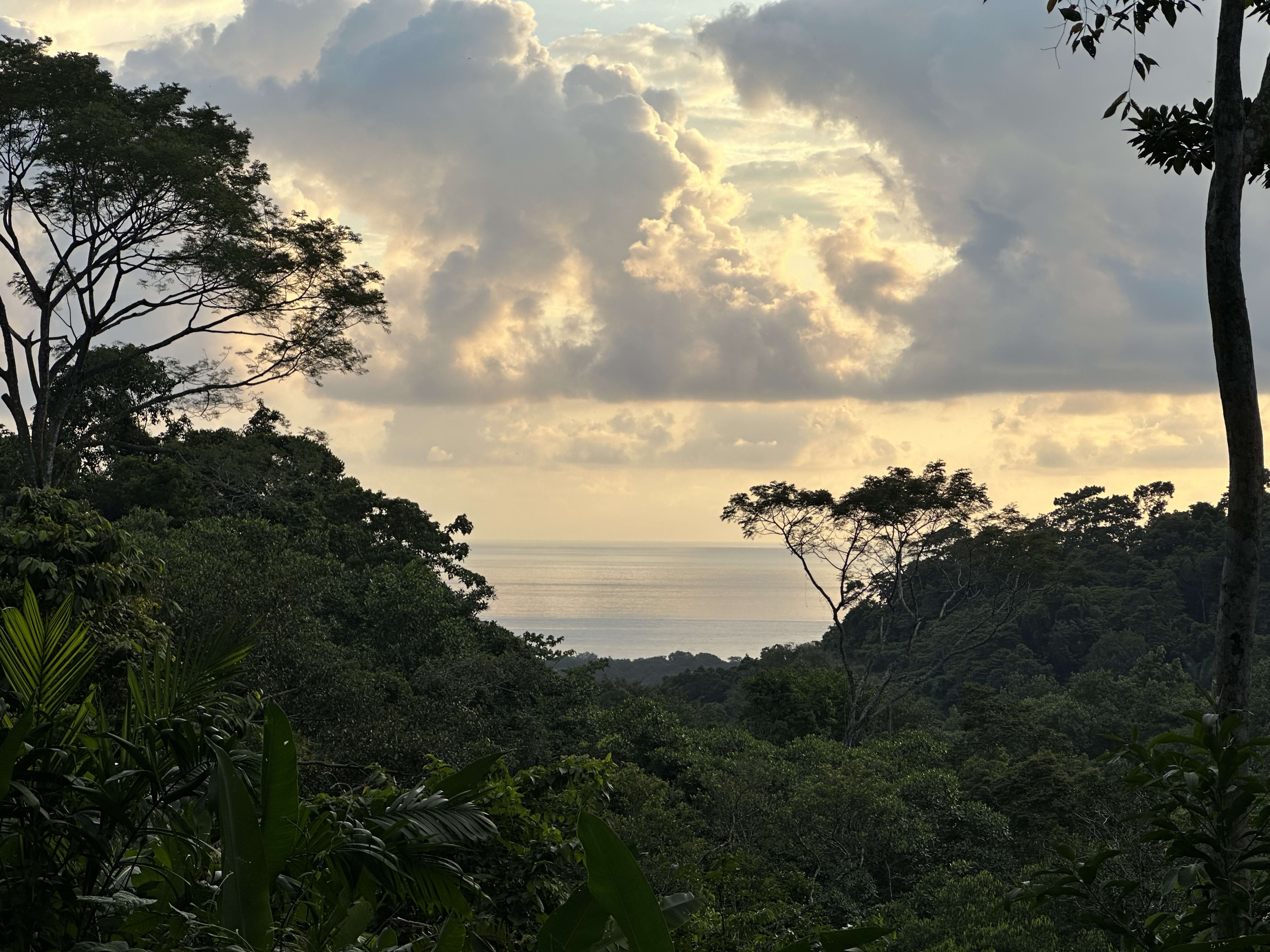 Ocean View Land (Lot 3) in Paradise Breezes, Hatillo in Dominical, Costa Rica