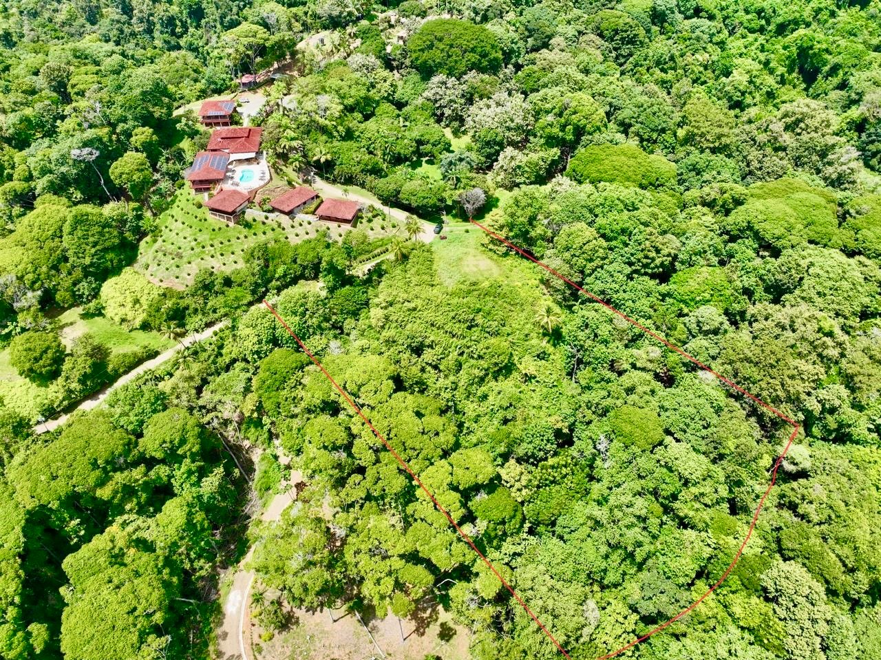 5.3-Acre Ocean View Land in San Martin Norte, Dominical property photo 2