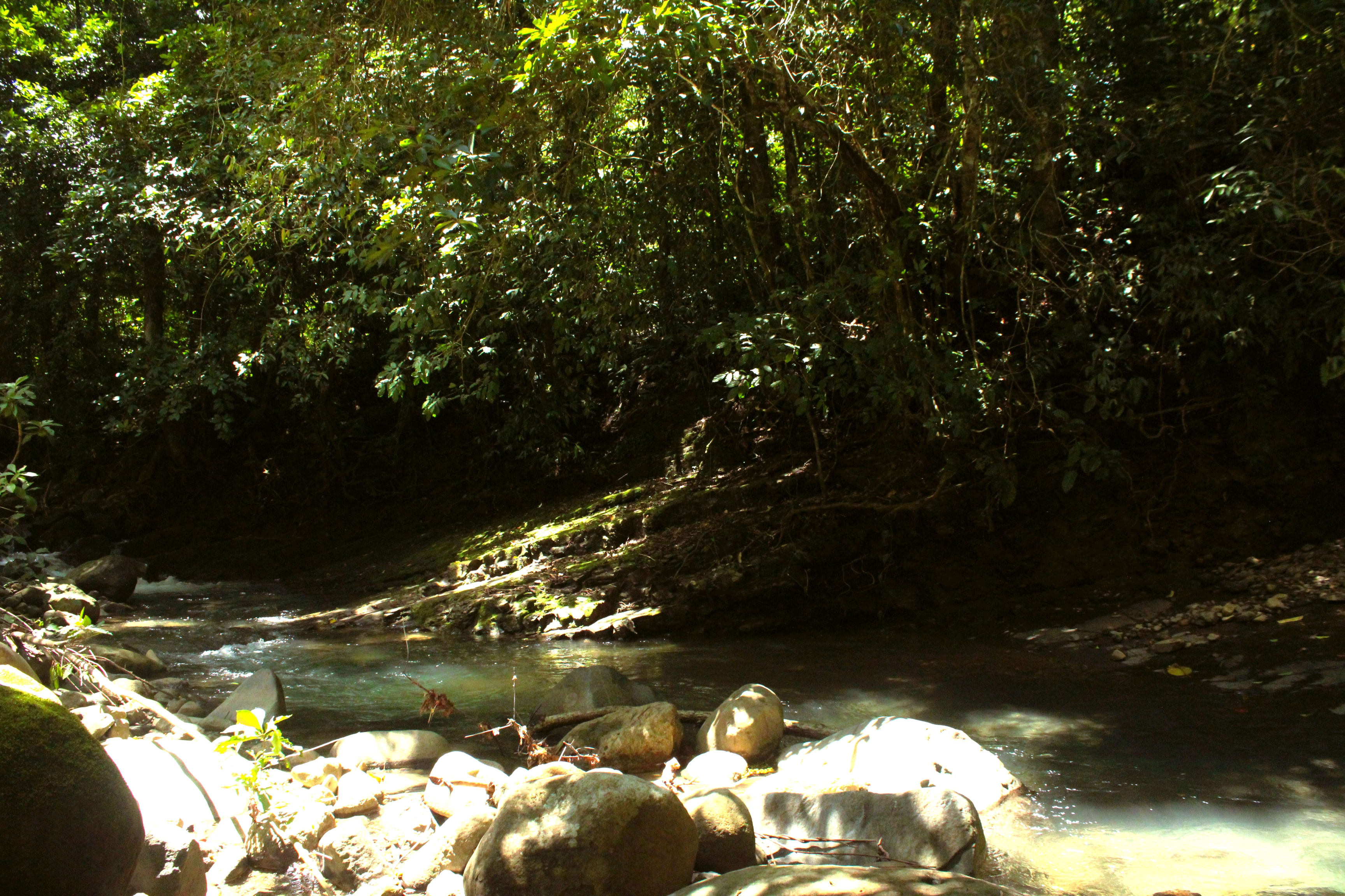 55-Acre Farm in Chontales, Near Ojochal property photo 2