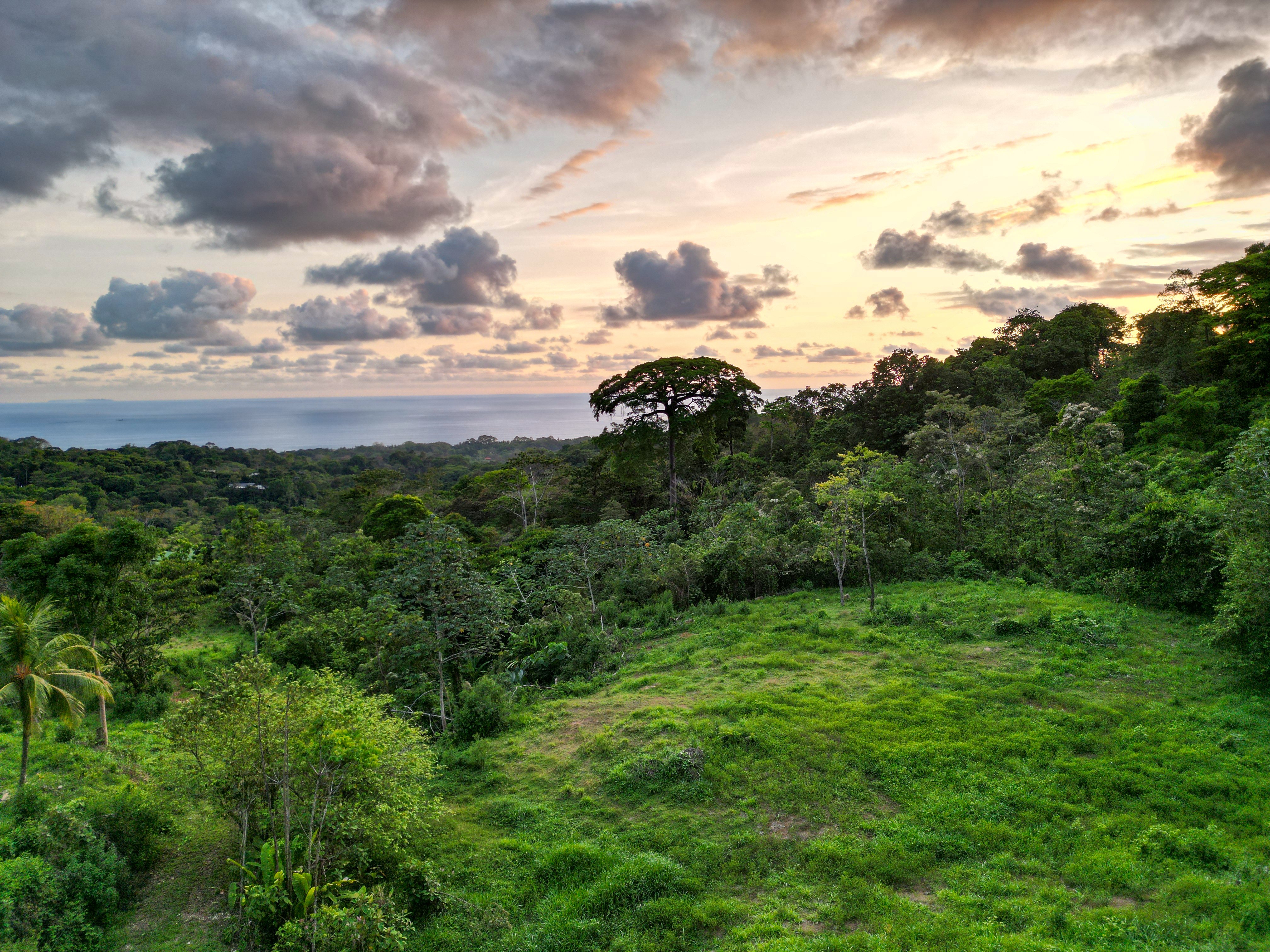 15.9-Acre Ocean View Land on La Union Road, Uvita in Uvita, Costa Rica