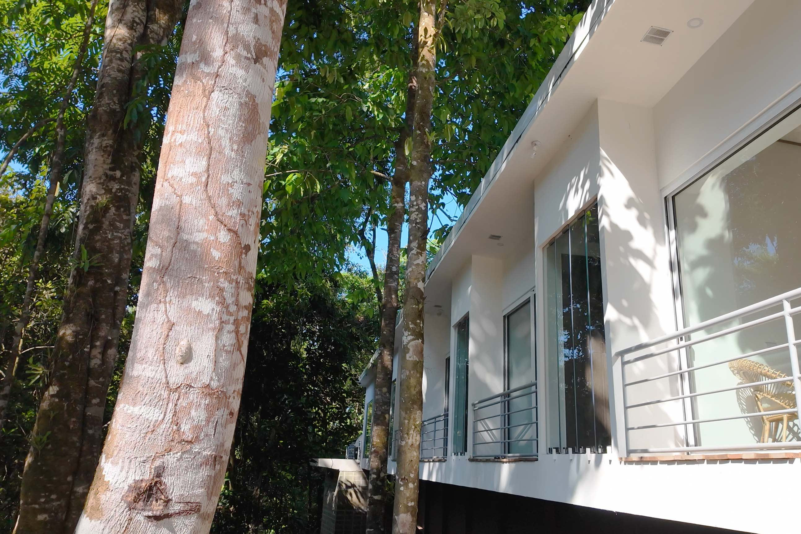 Luxury Rainforest Villa (Casa Bromelia) in Portasol, Near Dominical property photo 3