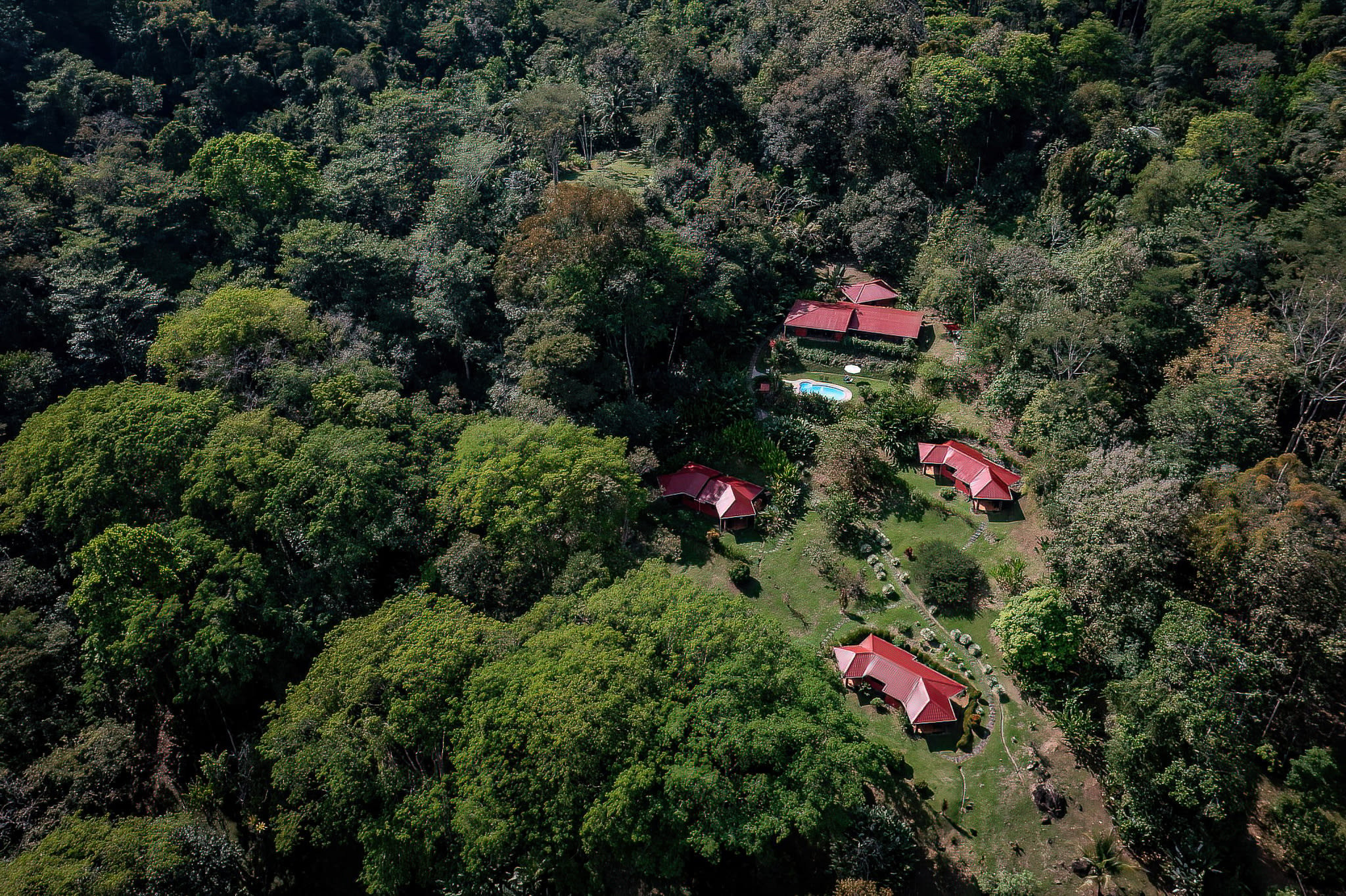 8-Bedroom Boutique Hotel on 2.5 Acres in Uvita property photo 4