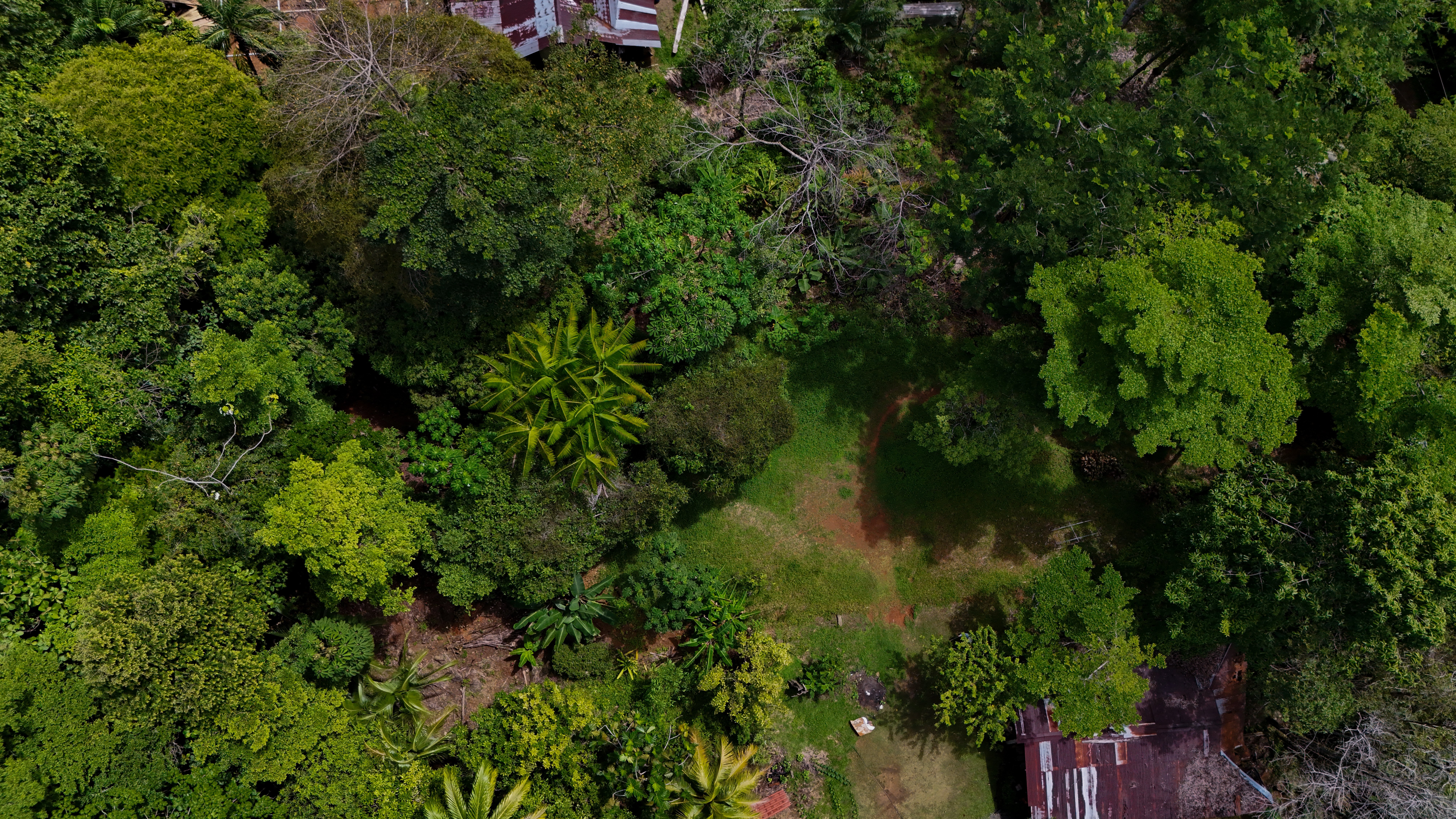 River-Walk Jungle Lot in Uvita property photo 4
