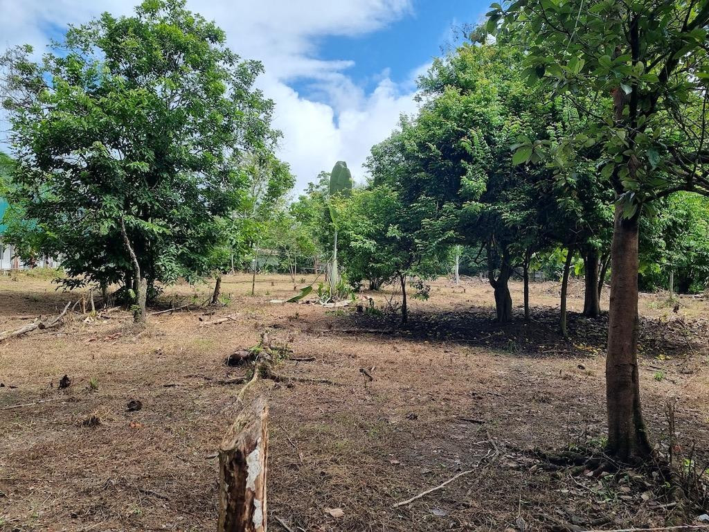 Commercial Lot Near Marino Ballena National Park, Uvita property photo 2
