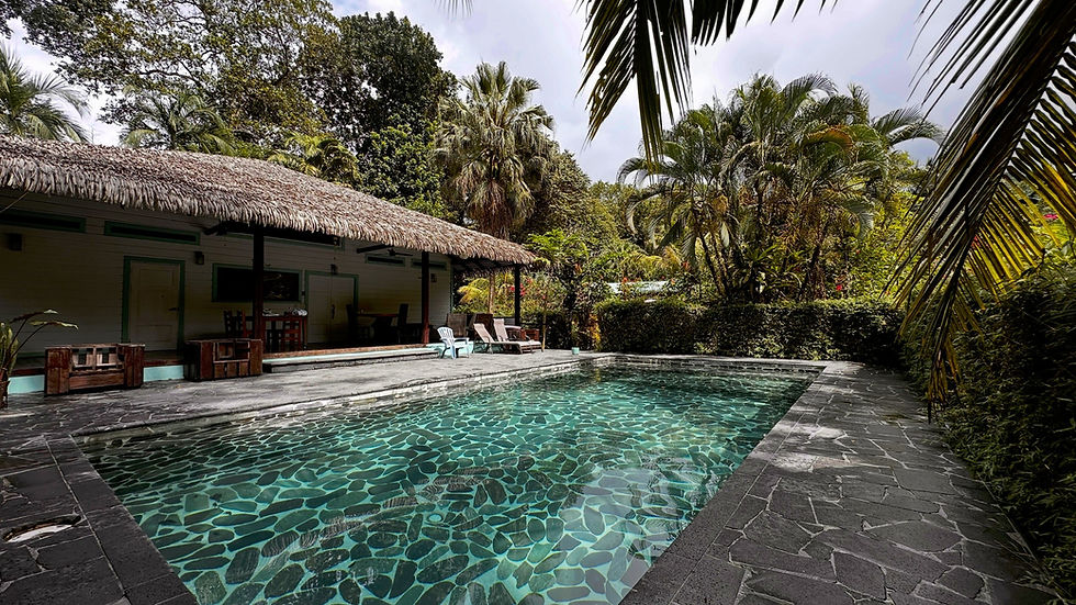 Thumbnail: Dual-Home Estate in Ojochal | 5 Bed / 6 Bath