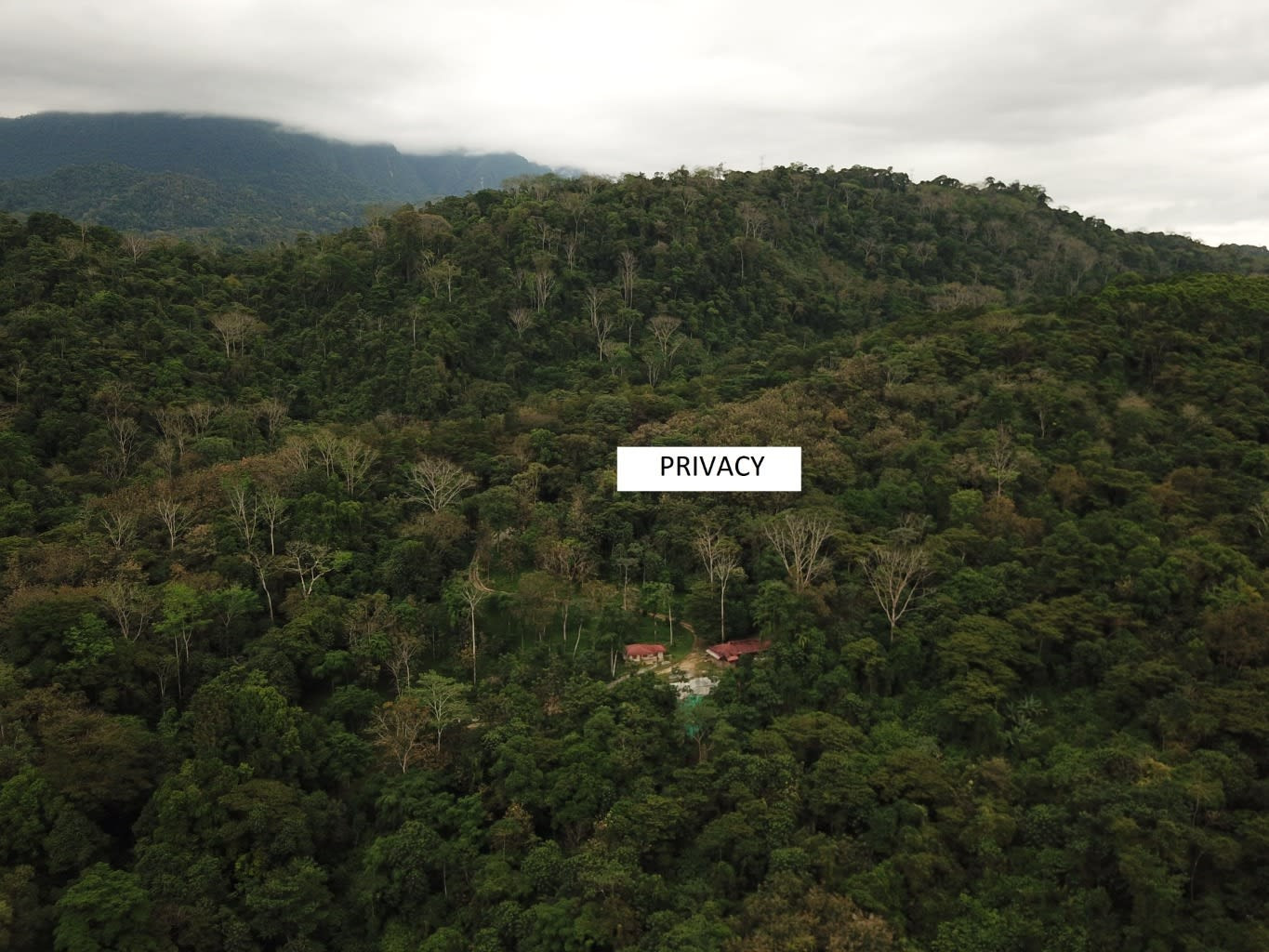 48-Acre Rainforest Farm (Rancho El Cielo) on the Osa Peninsula property photo 3