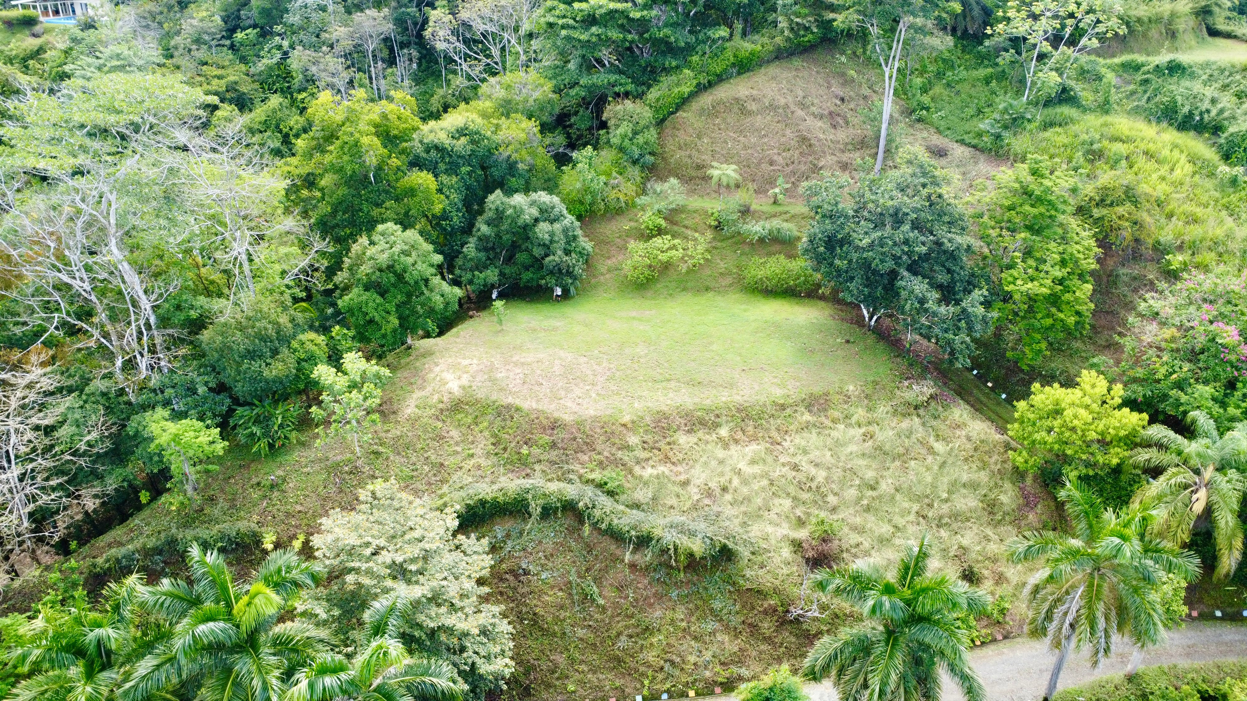 Elevated Pacific View Land in Rancho Lagunas, Dominical property photo 2