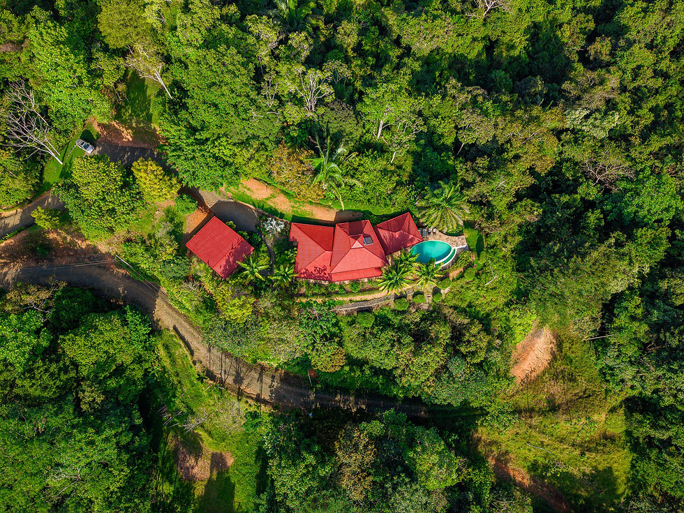 Thumbnail: Ocean View Home on 2.6 Acres in Platanillo | 2 Bed