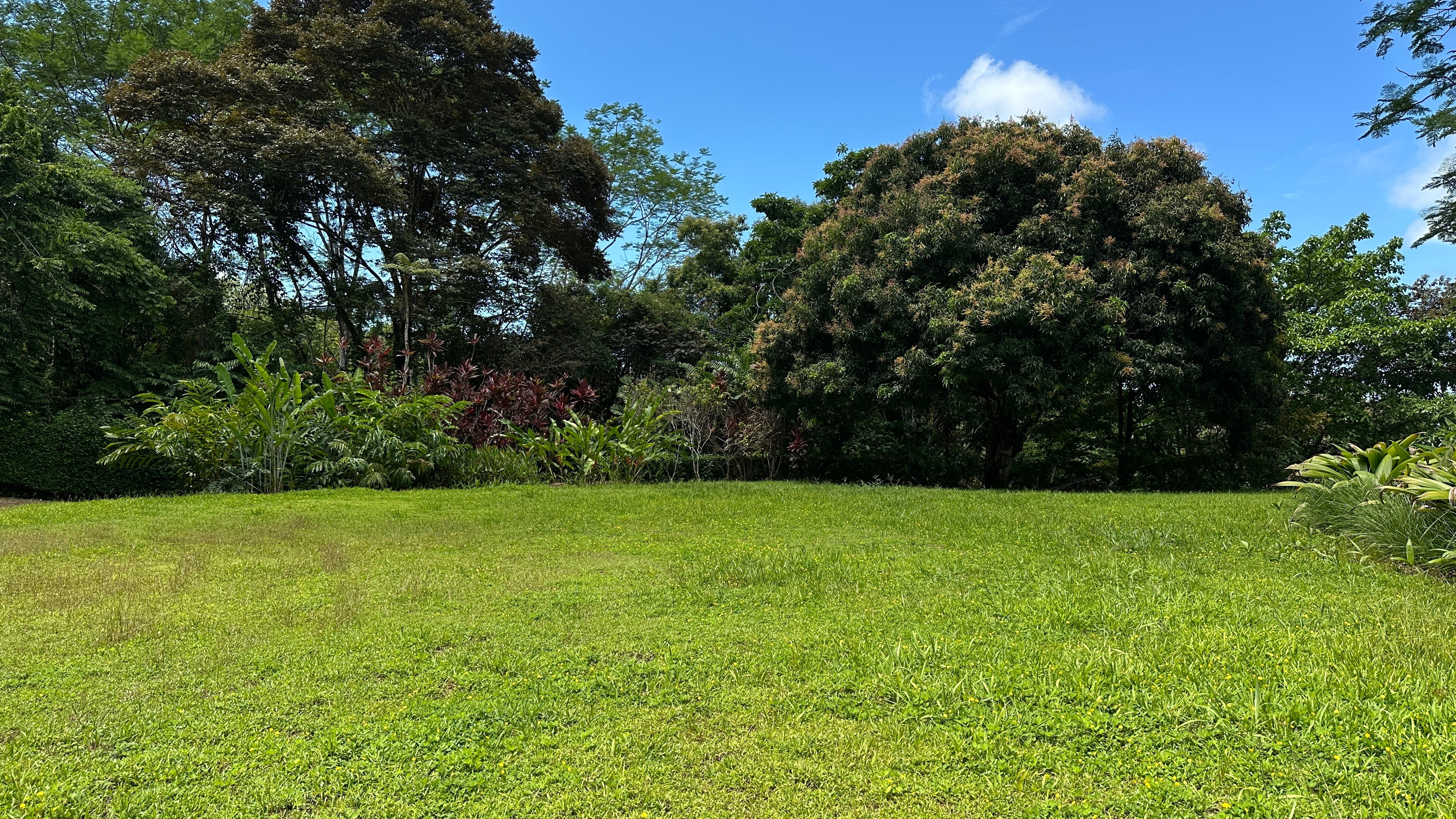 Build-Ready Ocean View Land with Guest House in Cascada Sandalo, Tres Rios property photo 4