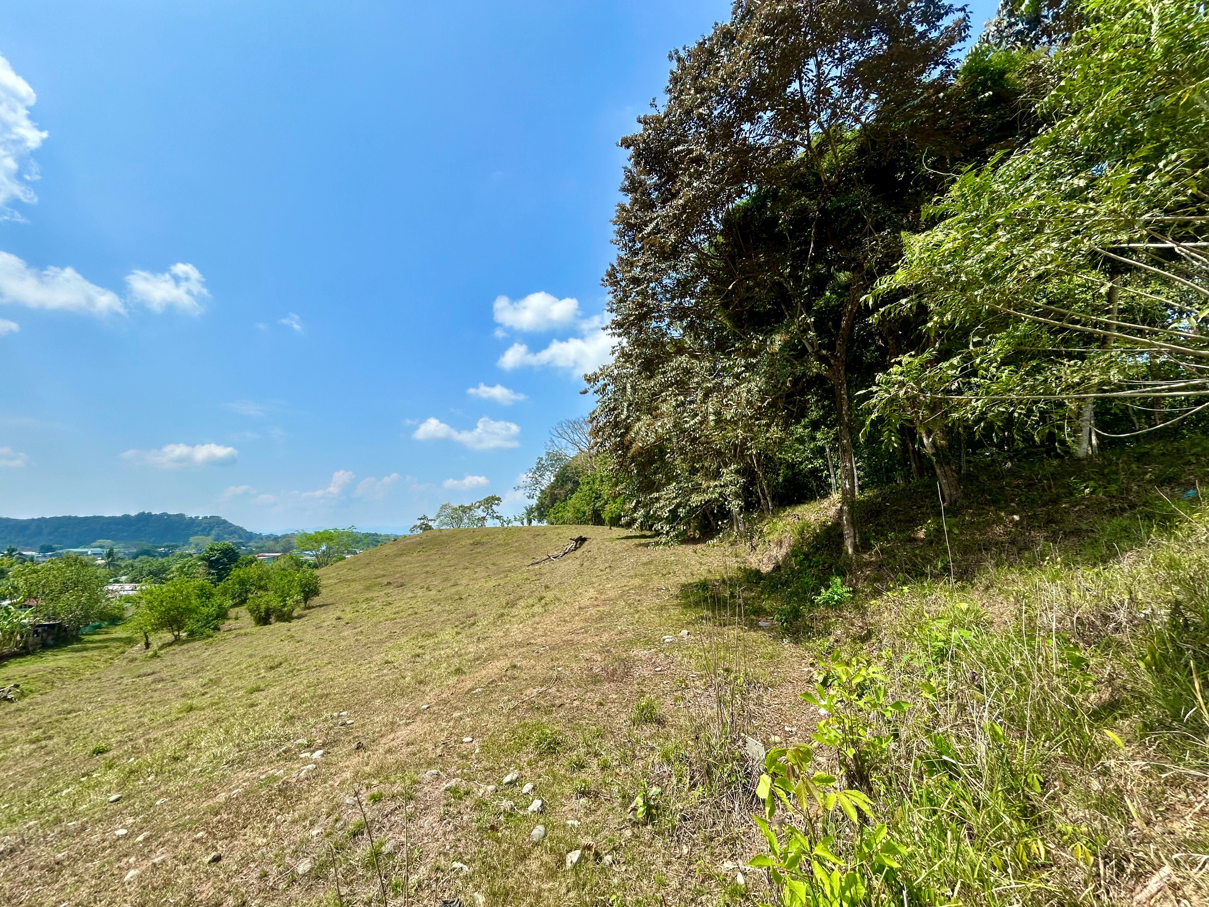 12-Acre Development Land in Barrio Alemania, Palmar Norte property photo 2